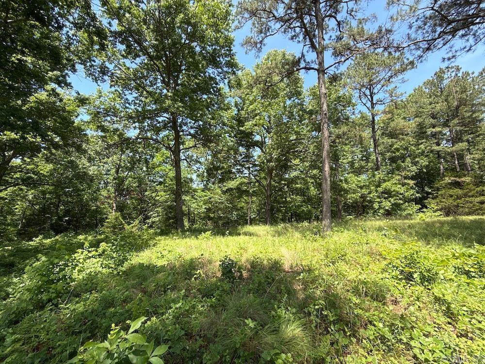 Photo 39 - Residential for sale – 1177  Ash Trl   Melbourne, AR