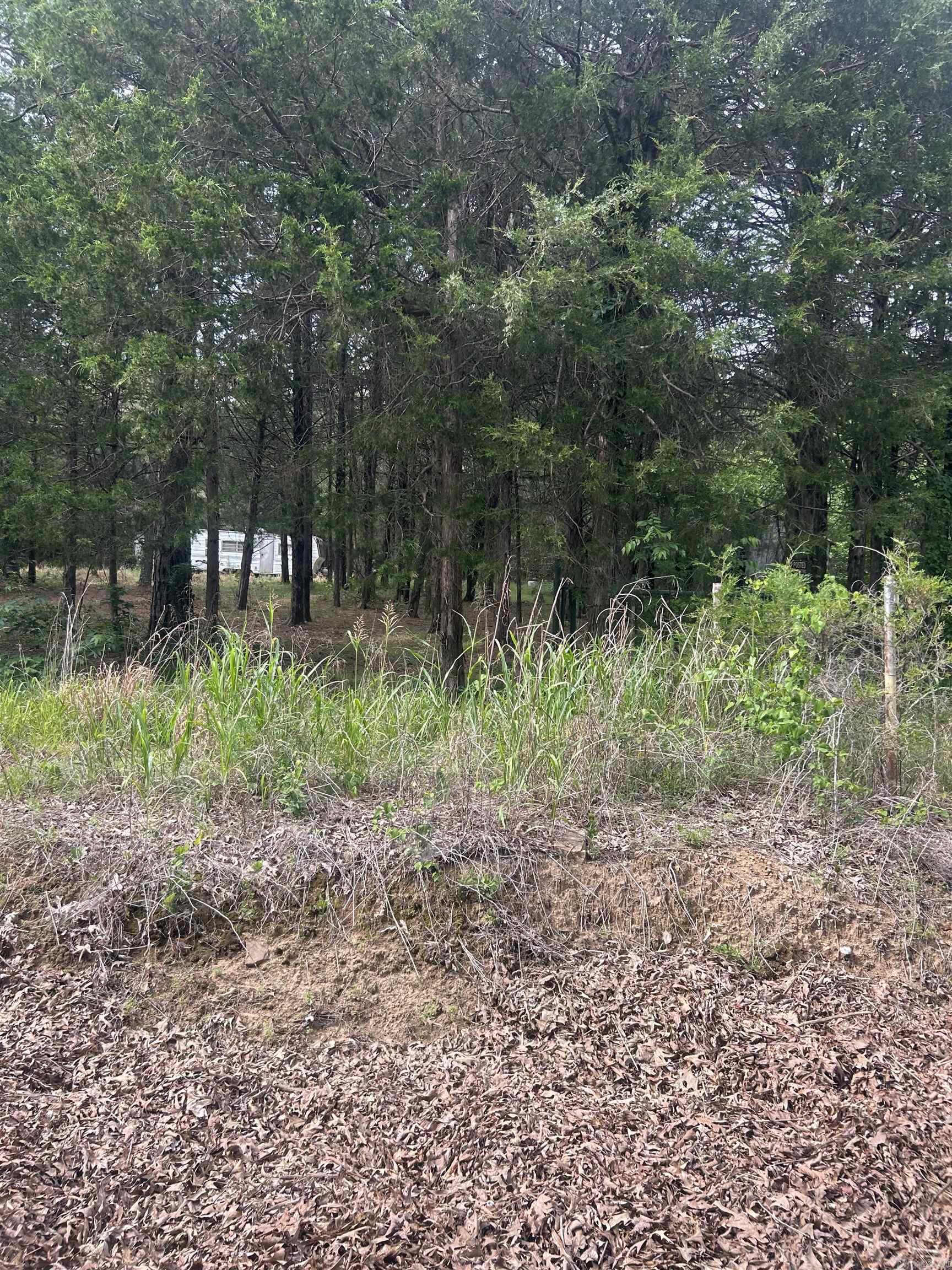 Vacant Land for sale – 1440  Hideout Road   Pleasant Plains, AR