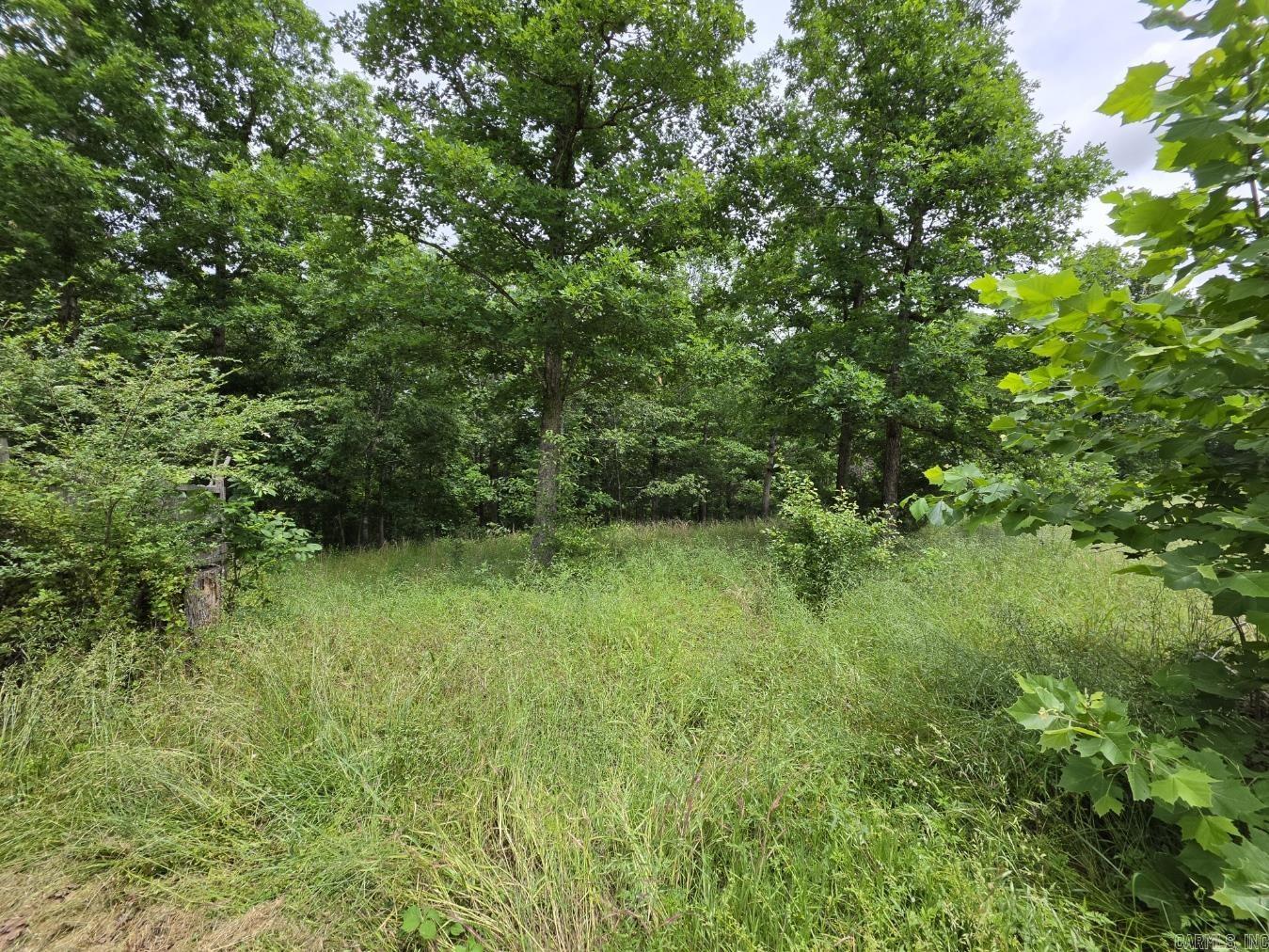 Photo 2 - Residential for sale – 295  Black Oak   Mammoth Spring, AR