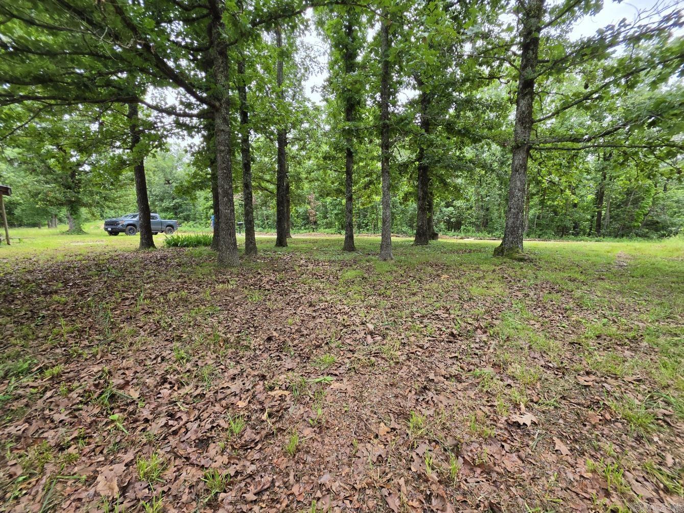 Photo 6 - Residential for sale – 295  Black Oak   Mammoth Spring, AR