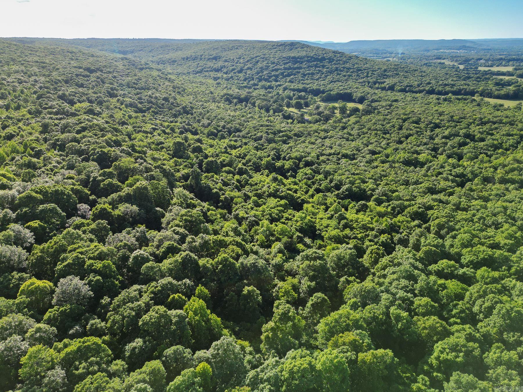 Photo 2 - Vacant Land for sale – 0000  Whiskey Creek   Batesville, AR