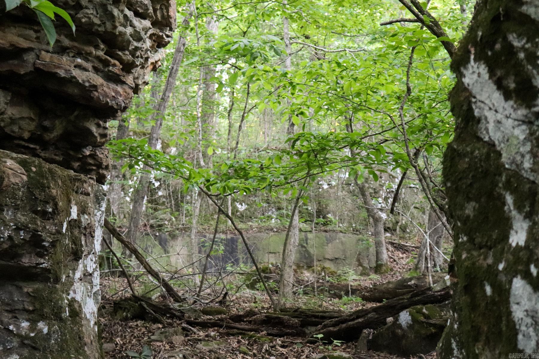 Photo 11 - Vacant Land for sale – 0000  Whiskey Creek   Batesville, AR