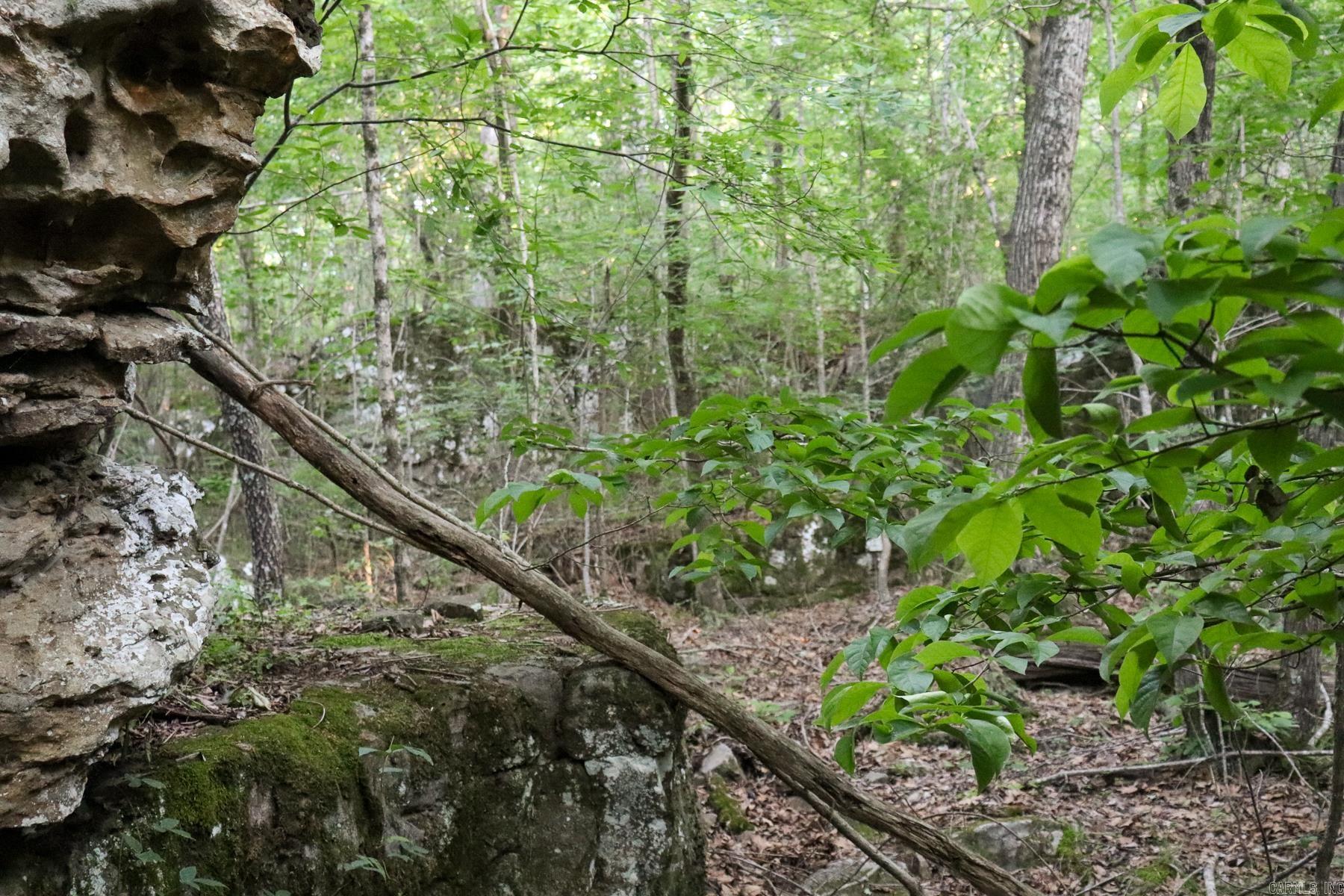 Photo 15 - Vacant Land for sale – 0000  Whiskey Creek   Batesville, AR