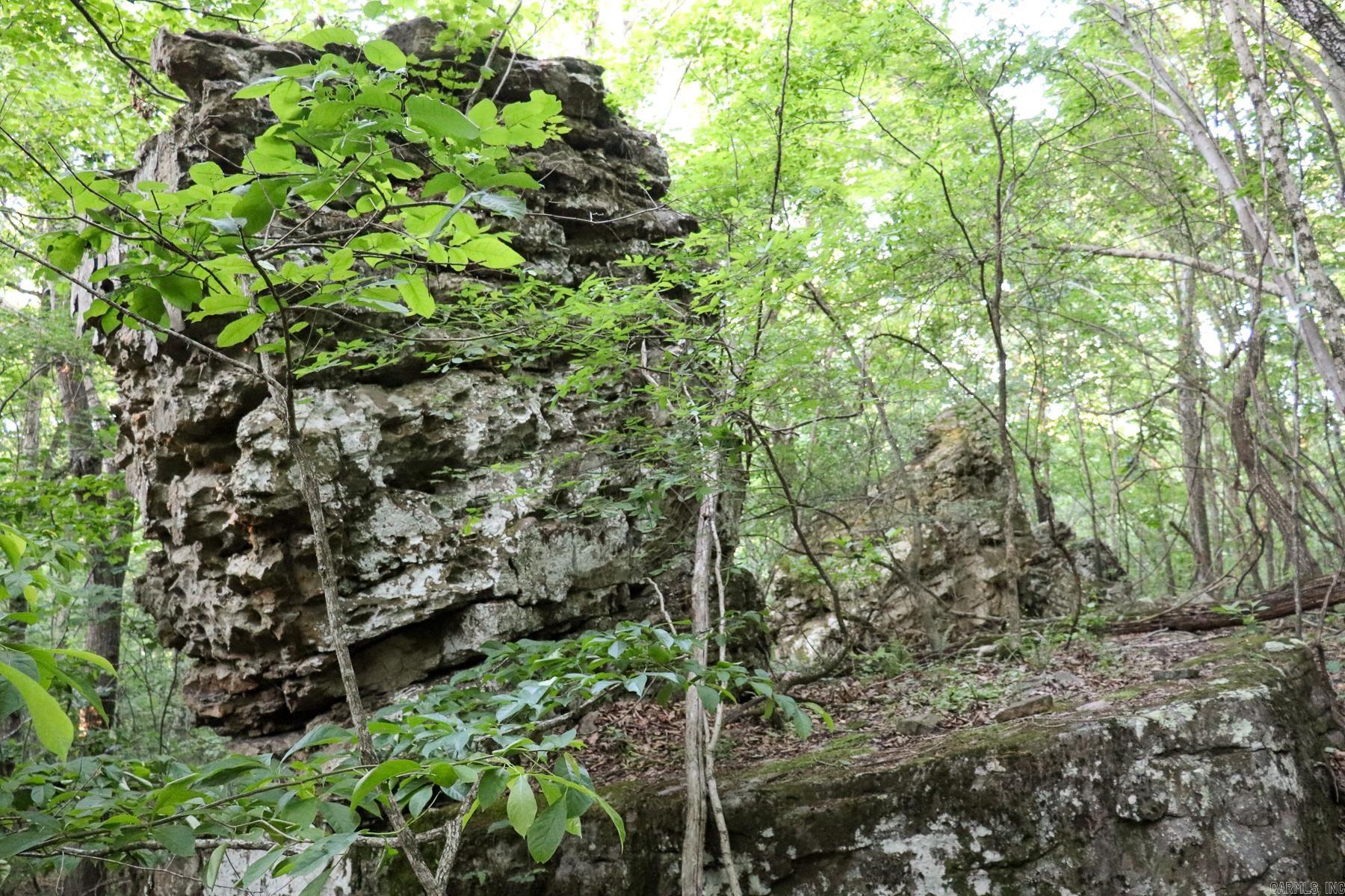 Photo 16 - Vacant Land for sale – 0000  Whiskey Creek   Batesville, AR