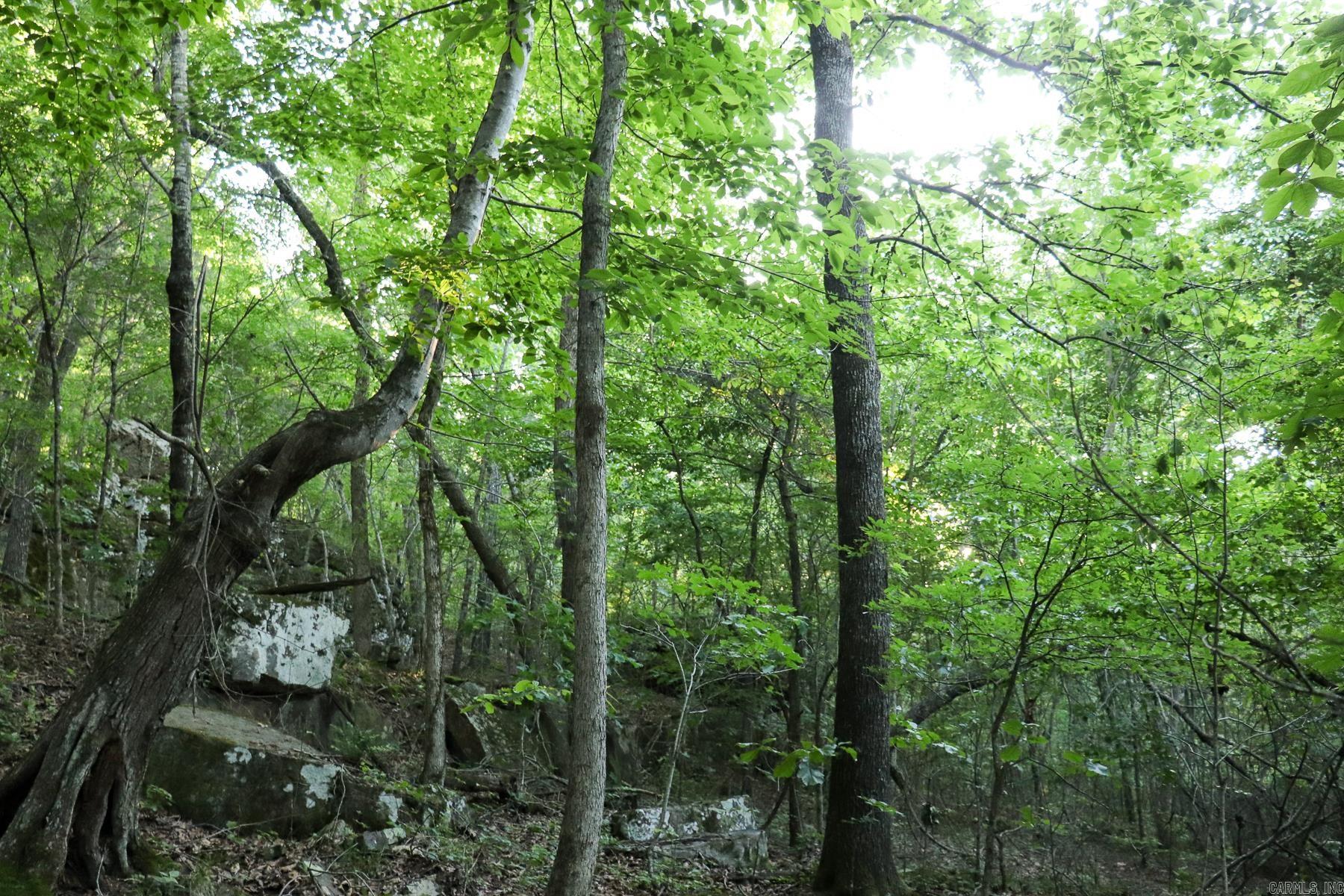 Photo 17 - Vacant Land for sale – 0000  Whiskey Creek   Batesville, AR