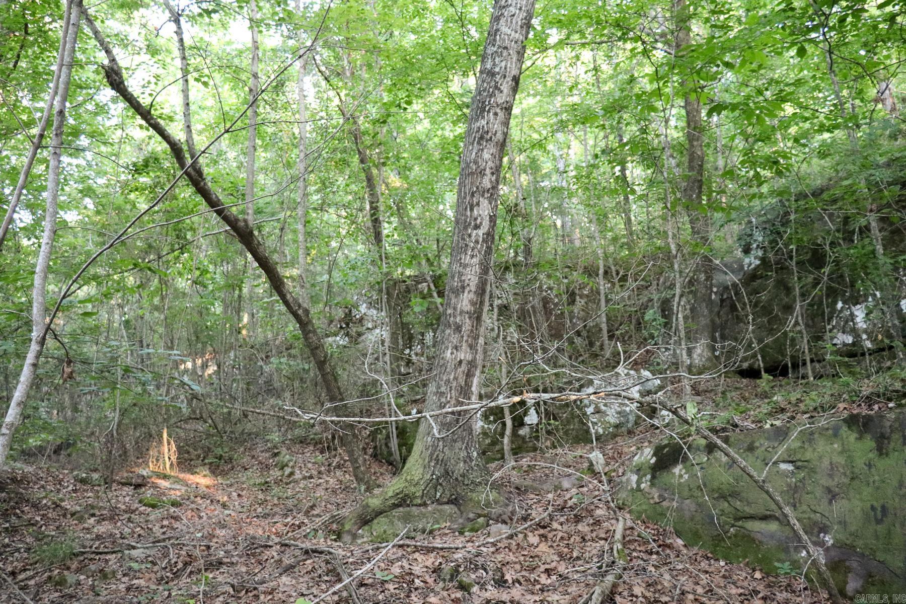 Photo 18 - Vacant Land for sale – 0000  Whiskey Creek   Batesville, AR
