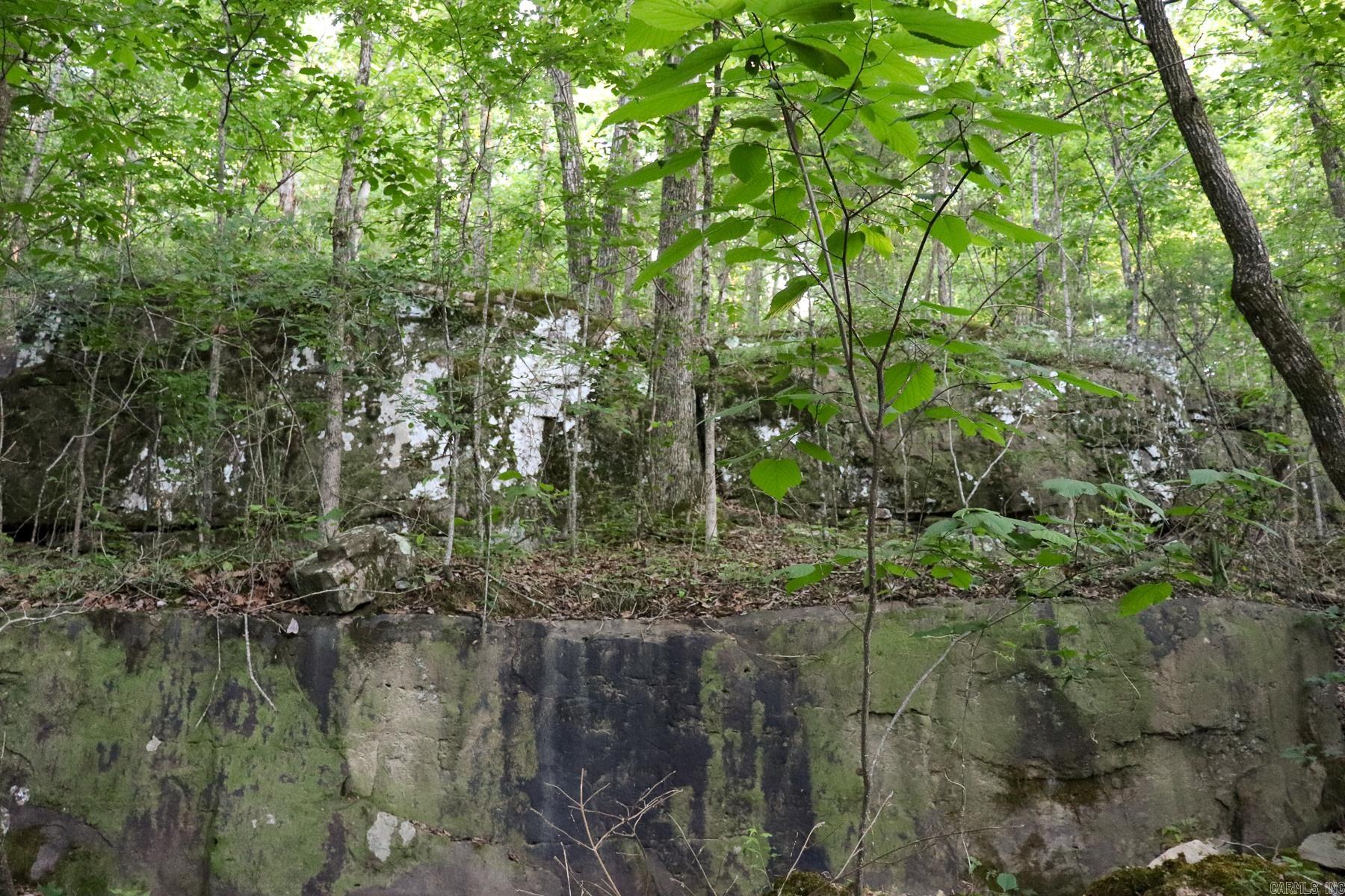 Photo 19 - Vacant Land for sale – 0000  Whiskey Creek   Batesville, AR
