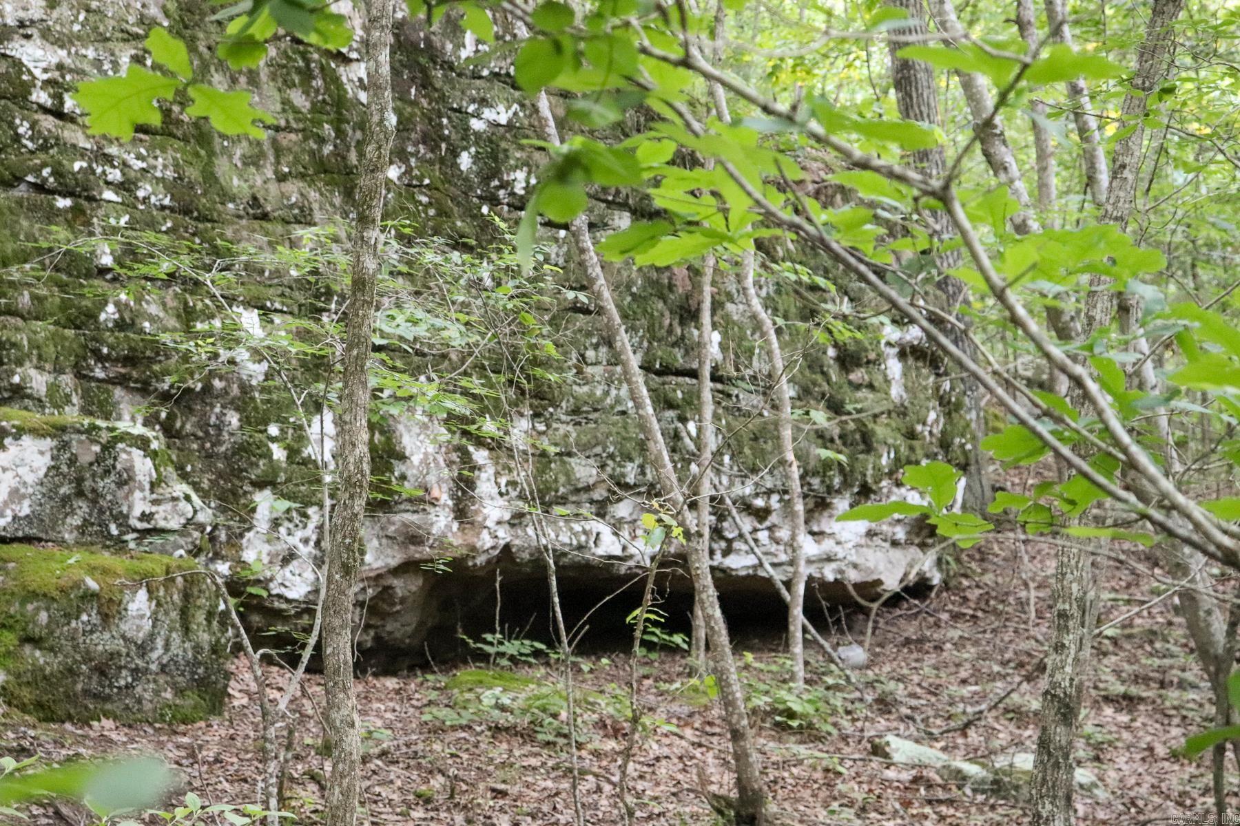 Photo 20 - Vacant Land for sale – 0000  Whiskey Creek   Batesville, AR