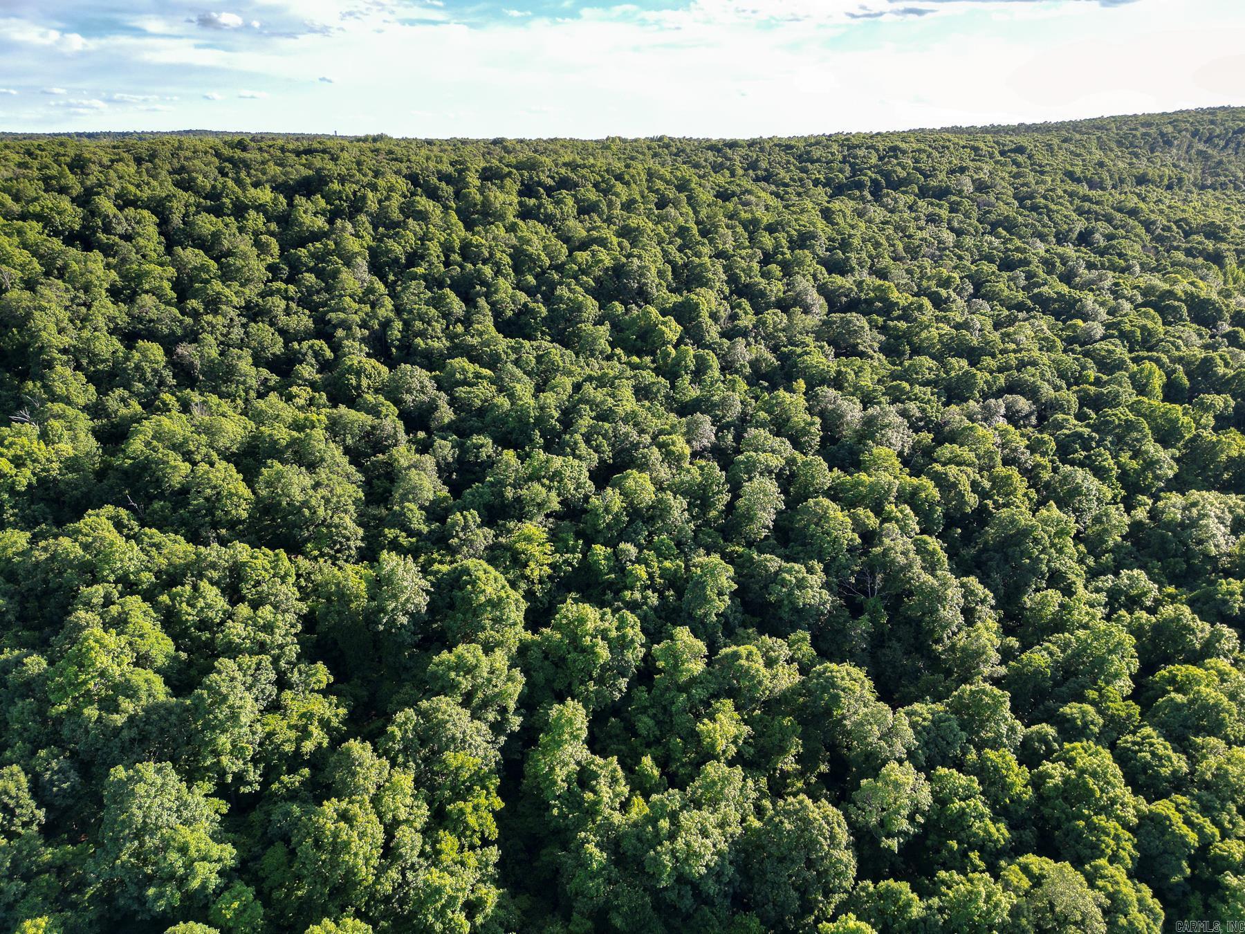 Photo 3 - Vacant Land for sale – 0000  Whiskey Creek   Batesville, AR