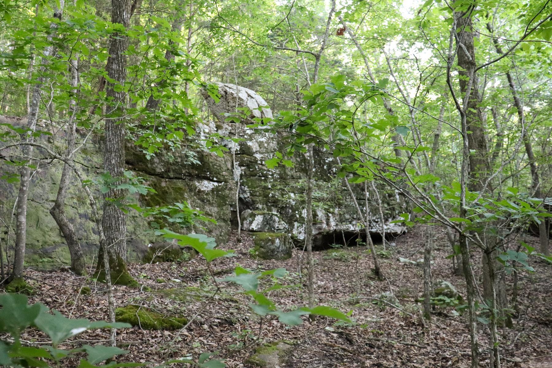 Photo 21 - Vacant Land for sale – 0000  Whiskey Creek   Batesville, AR