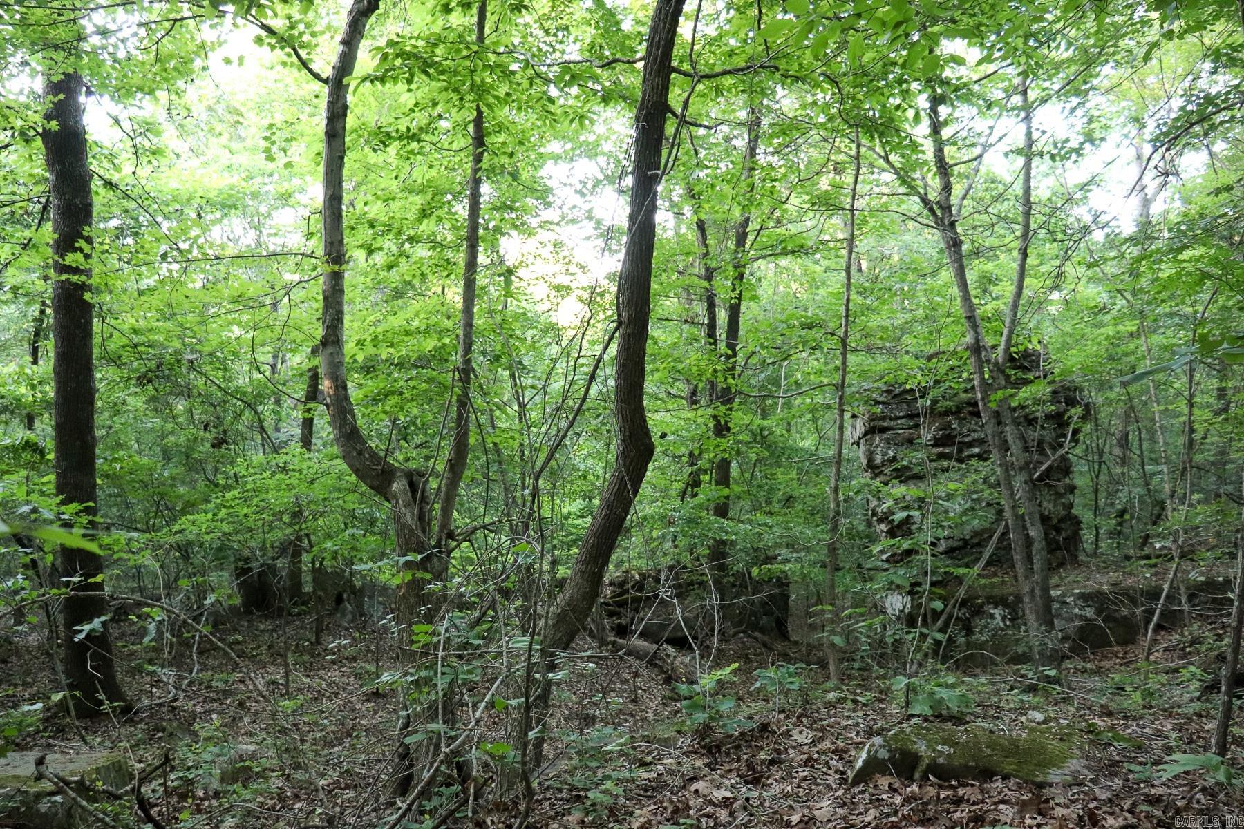 Photo 23 - Vacant Land for sale – 0000  Whiskey Creek   Batesville, AR