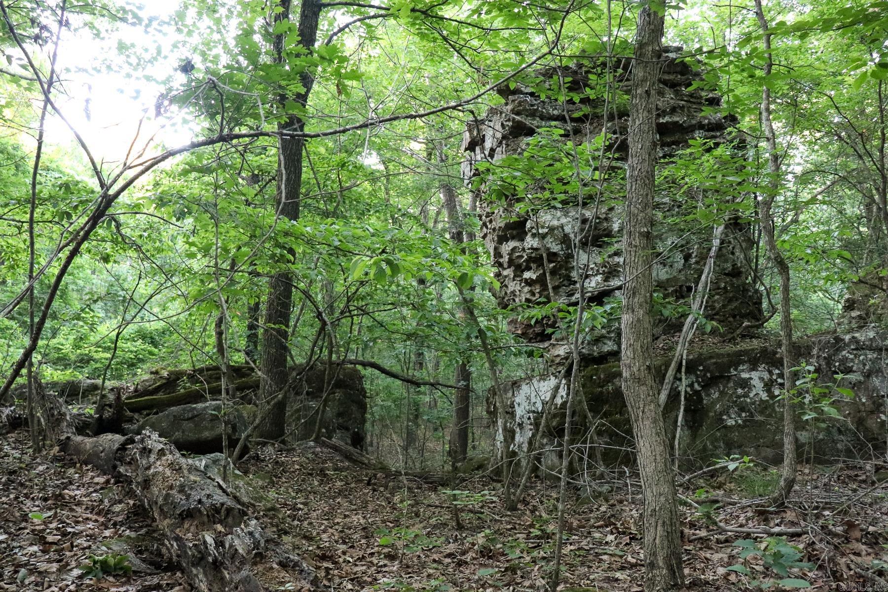 Photo 24 - Vacant Land for sale – 0000  Whiskey Creek   Batesville, AR