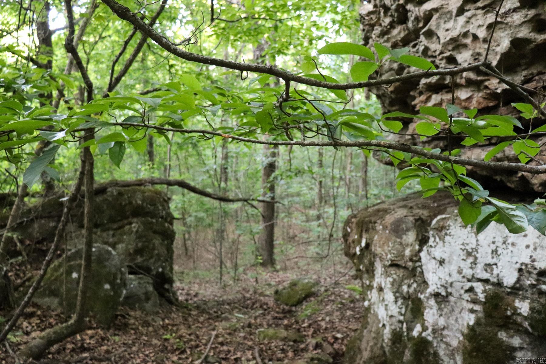 Photo 26 - Vacant Land for sale – 0000  Whiskey Creek   Batesville, AR