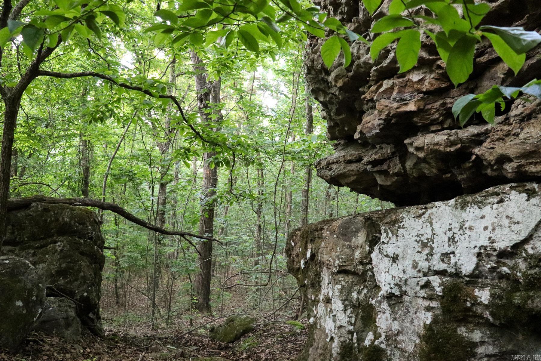 Photo 27 - Vacant Land for sale – 0000  Whiskey Creek   Batesville, AR