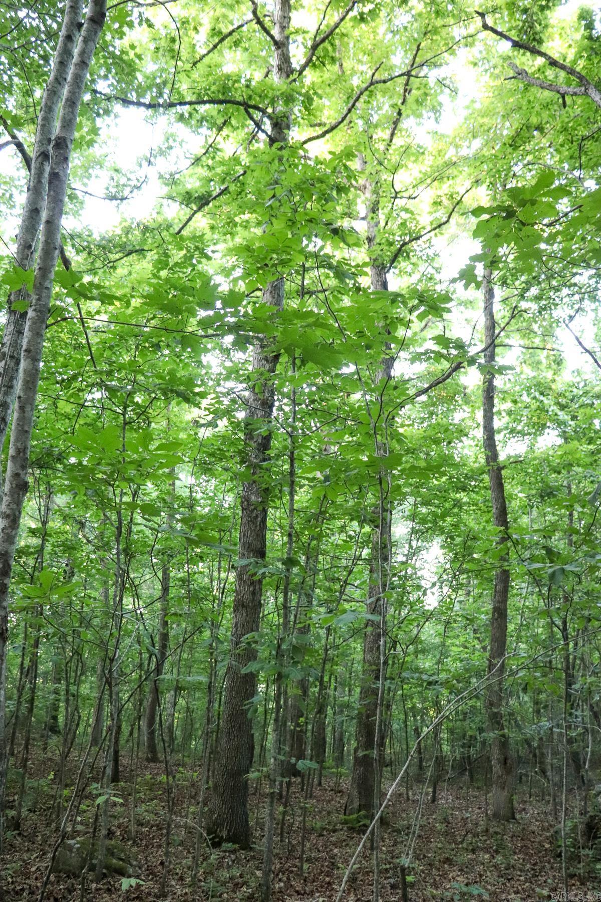 Photo 29 - Vacant Land for sale – 0000  Whiskey Creek   Batesville, AR