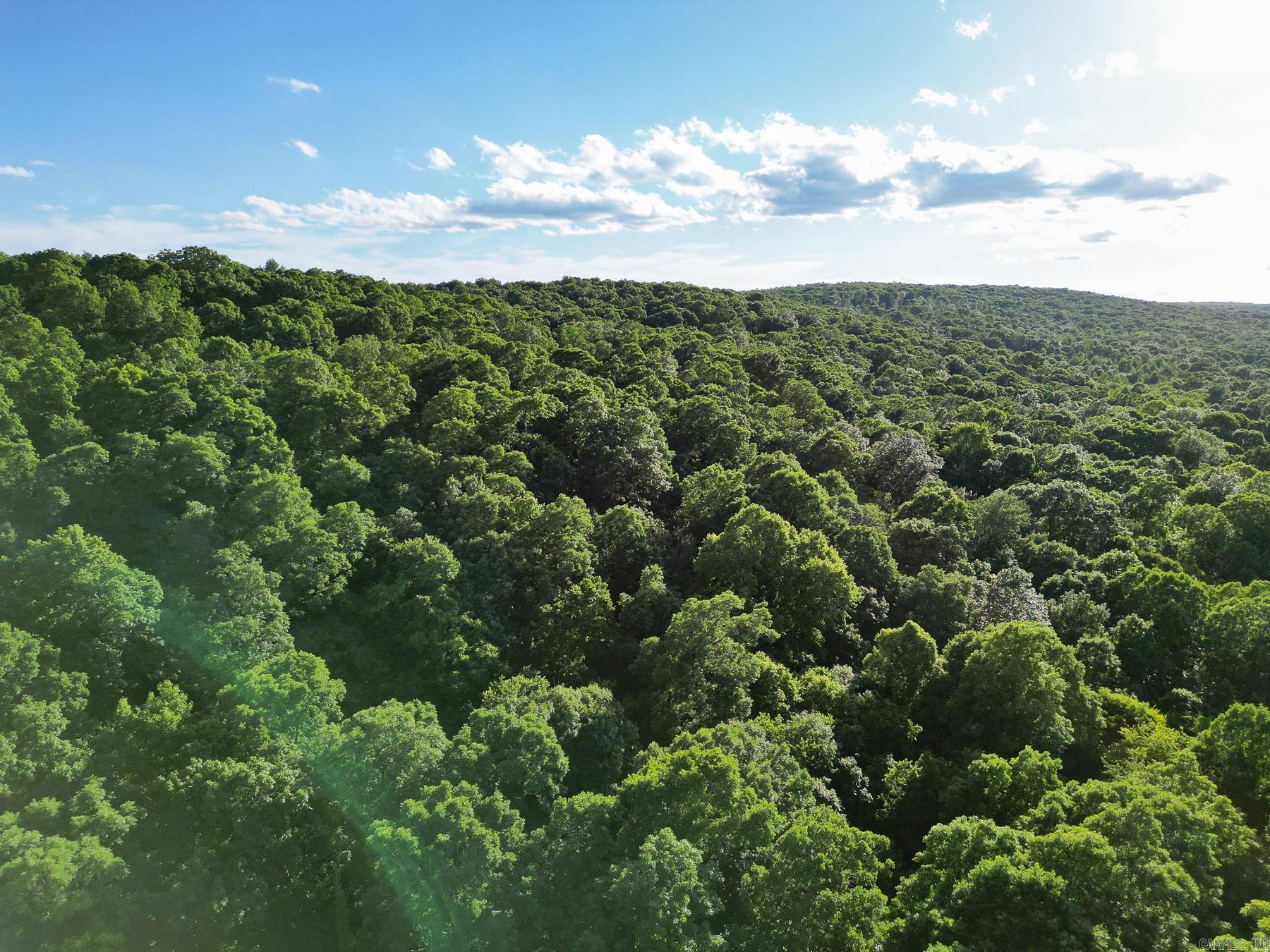 Photo 4 - Vacant Land for sale – 0000  Whiskey Creek   Batesville, AR