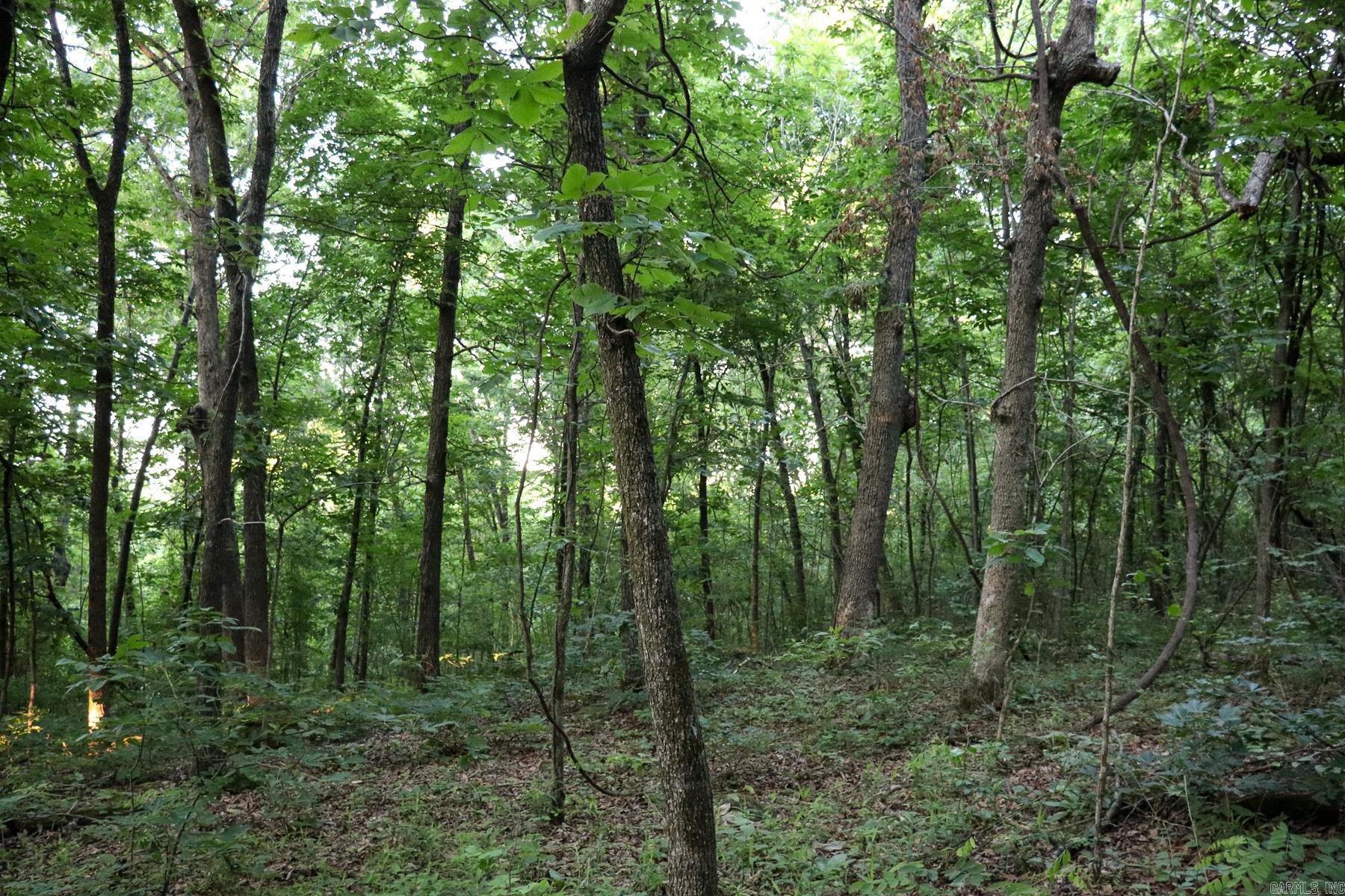 Photo 31 - Vacant Land for sale – 0000  Whiskey Creek   Batesville, AR