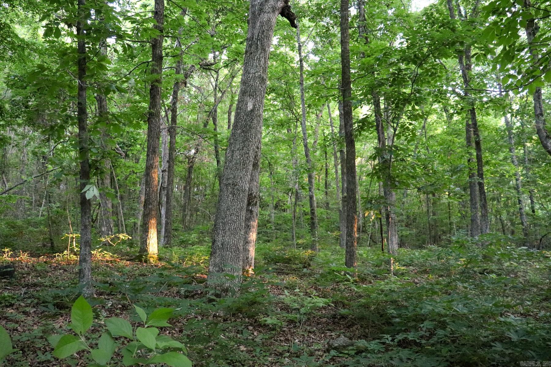 Photo 35 - Vacant Land for sale – 0000  Whiskey Creek   Batesville, AR