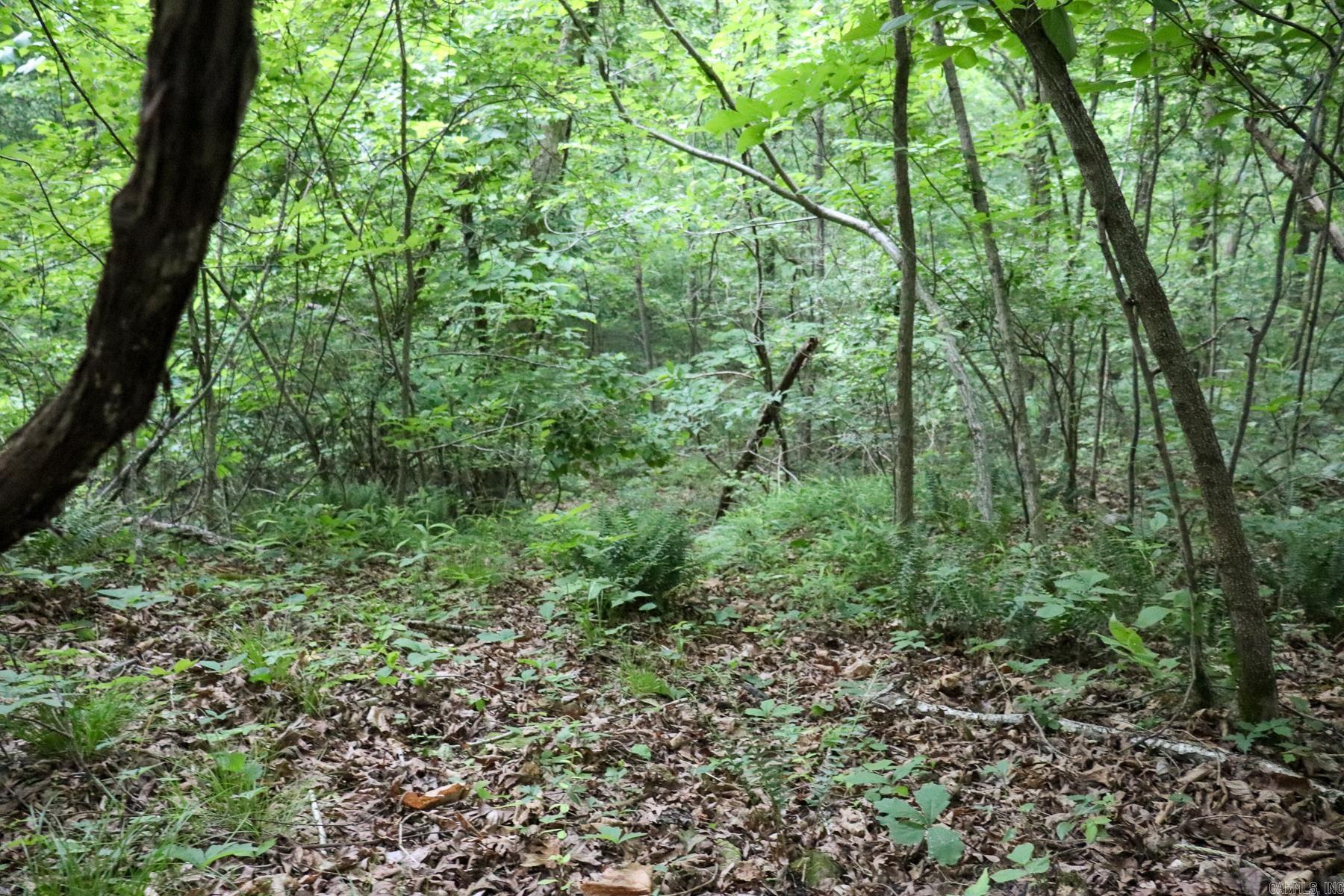 Photo 36 - Vacant Land for sale – 0000  Whiskey Creek   Batesville, AR