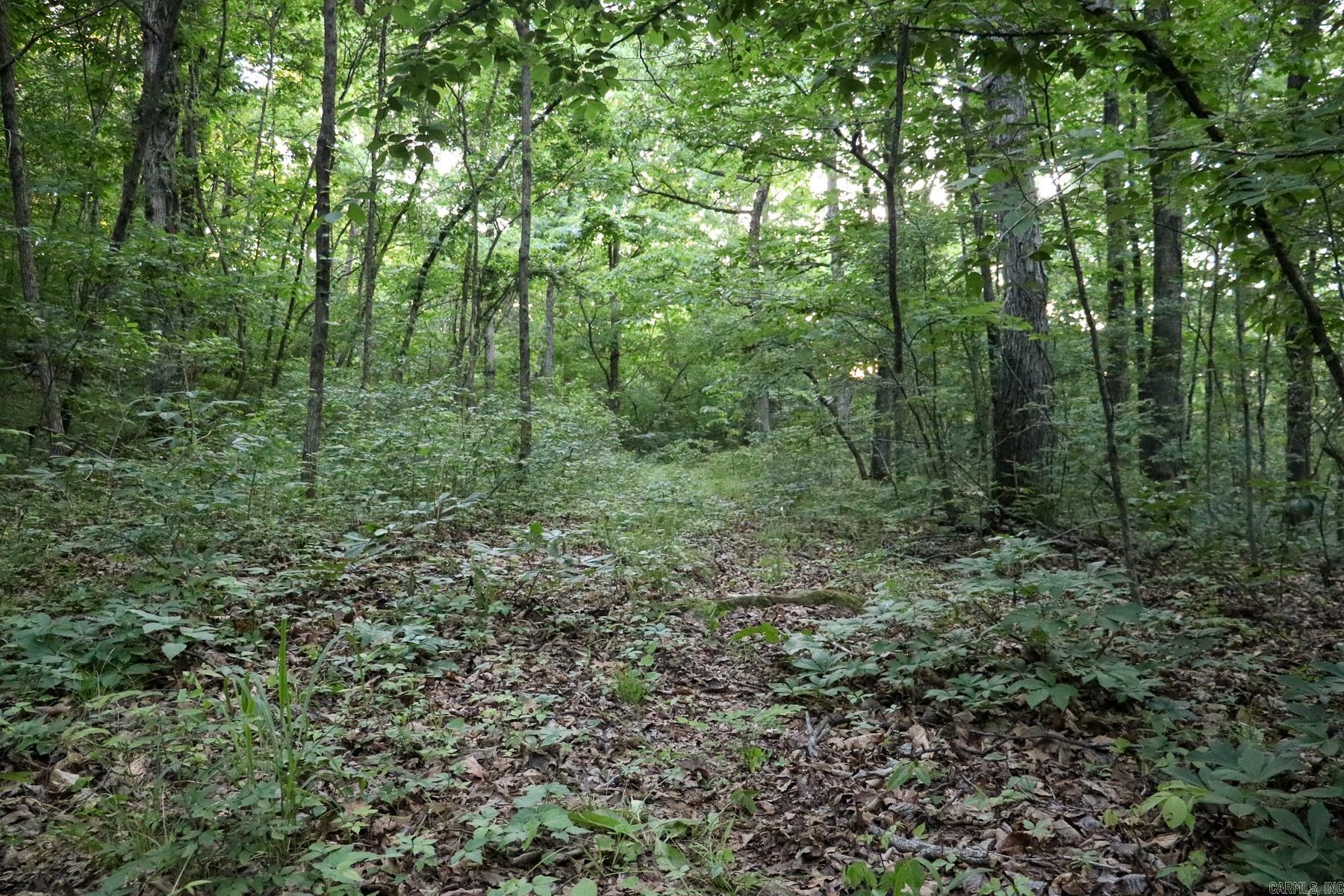 Photo 37 - Vacant Land for sale – 0000  Whiskey Creek   Batesville, AR