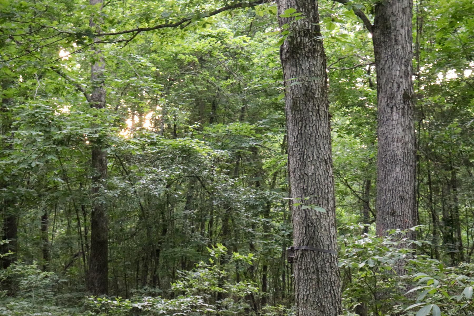 Photo 38 - Vacant Land for sale – 0000  Whiskey Creek   Batesville, AR