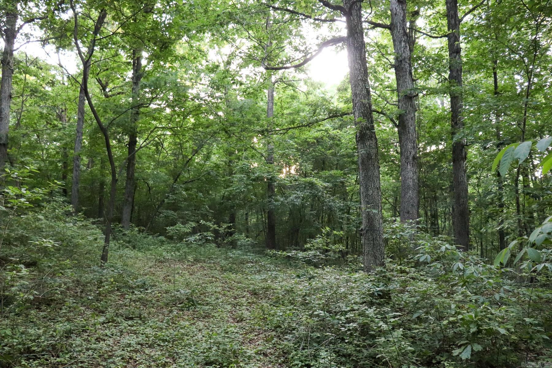 Photo 39 - Vacant Land for sale – 0000  Whiskey Creek   Batesville, AR