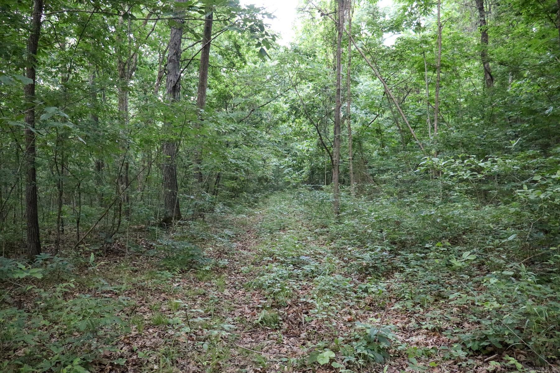 Photo 40 - Vacant Land for sale – 0000  Whiskey Creek   Batesville, AR