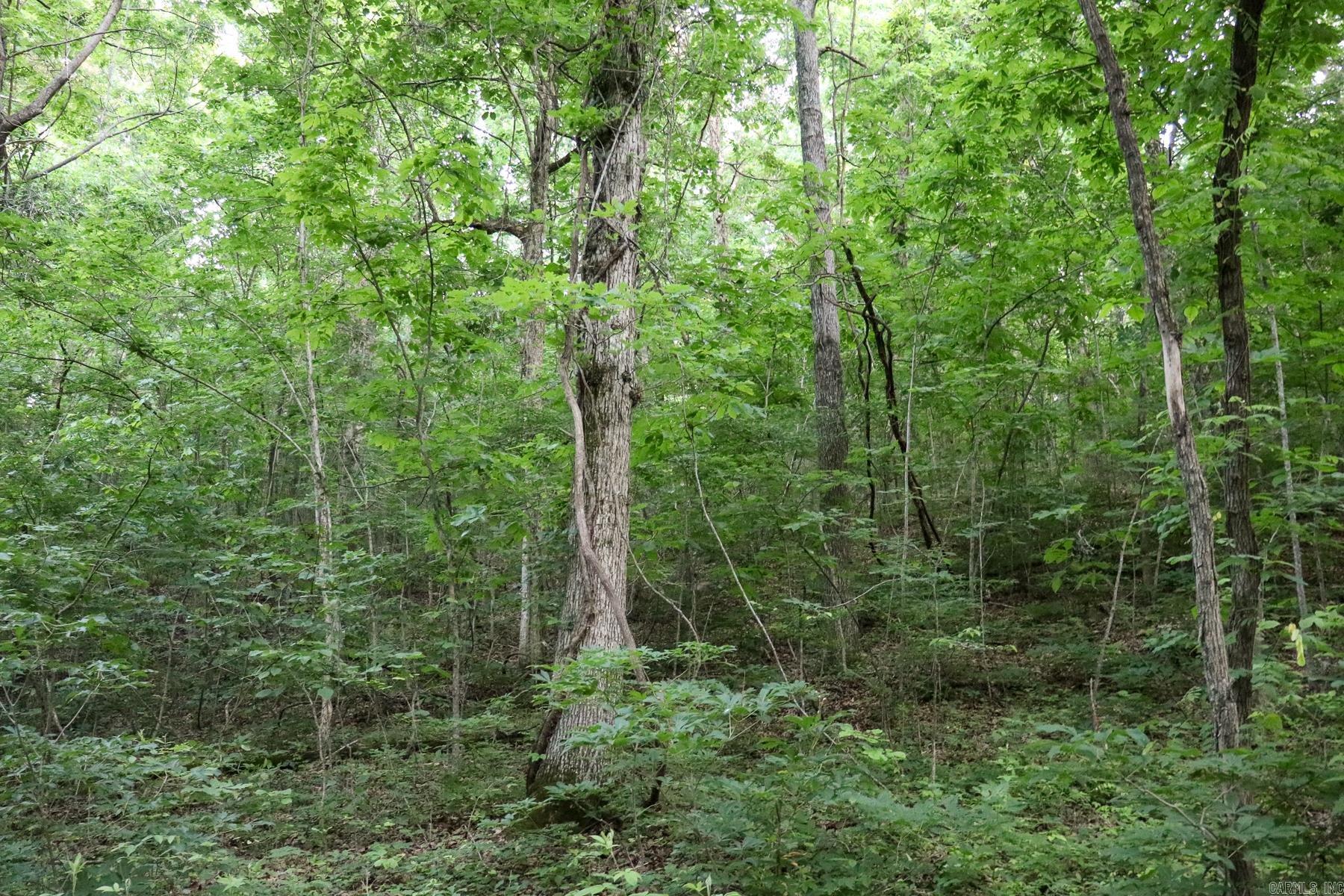 Photo 41 - Vacant Land for sale – 0000  Whiskey Creek   Batesville, AR
