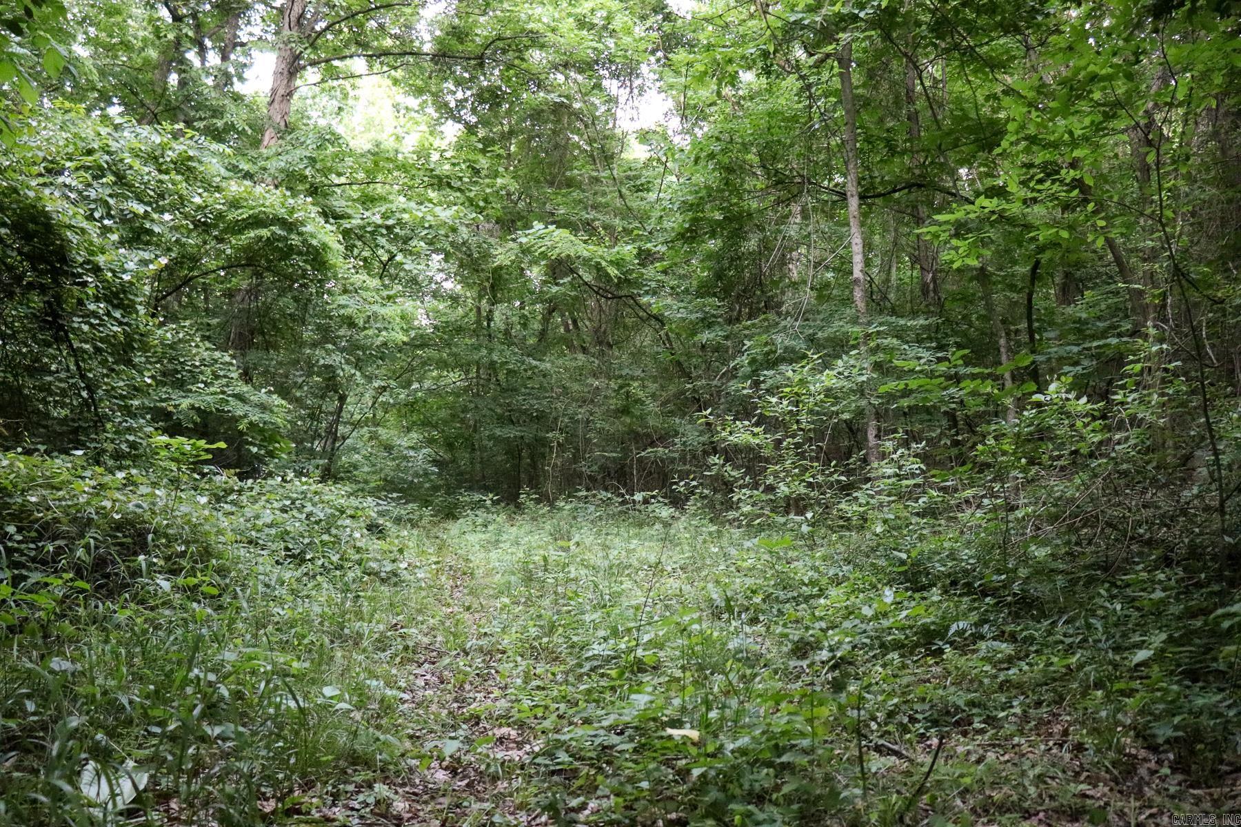 Photo 42 - Vacant Land for sale – 0000  Whiskey Creek   Batesville, AR