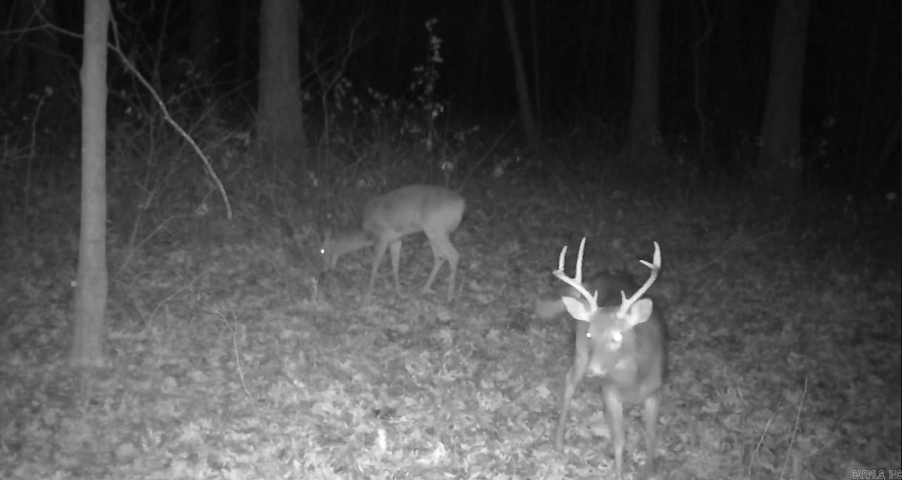 Photo 48 - Vacant Land for sale – 0000  Whiskey Creek   Batesville, AR