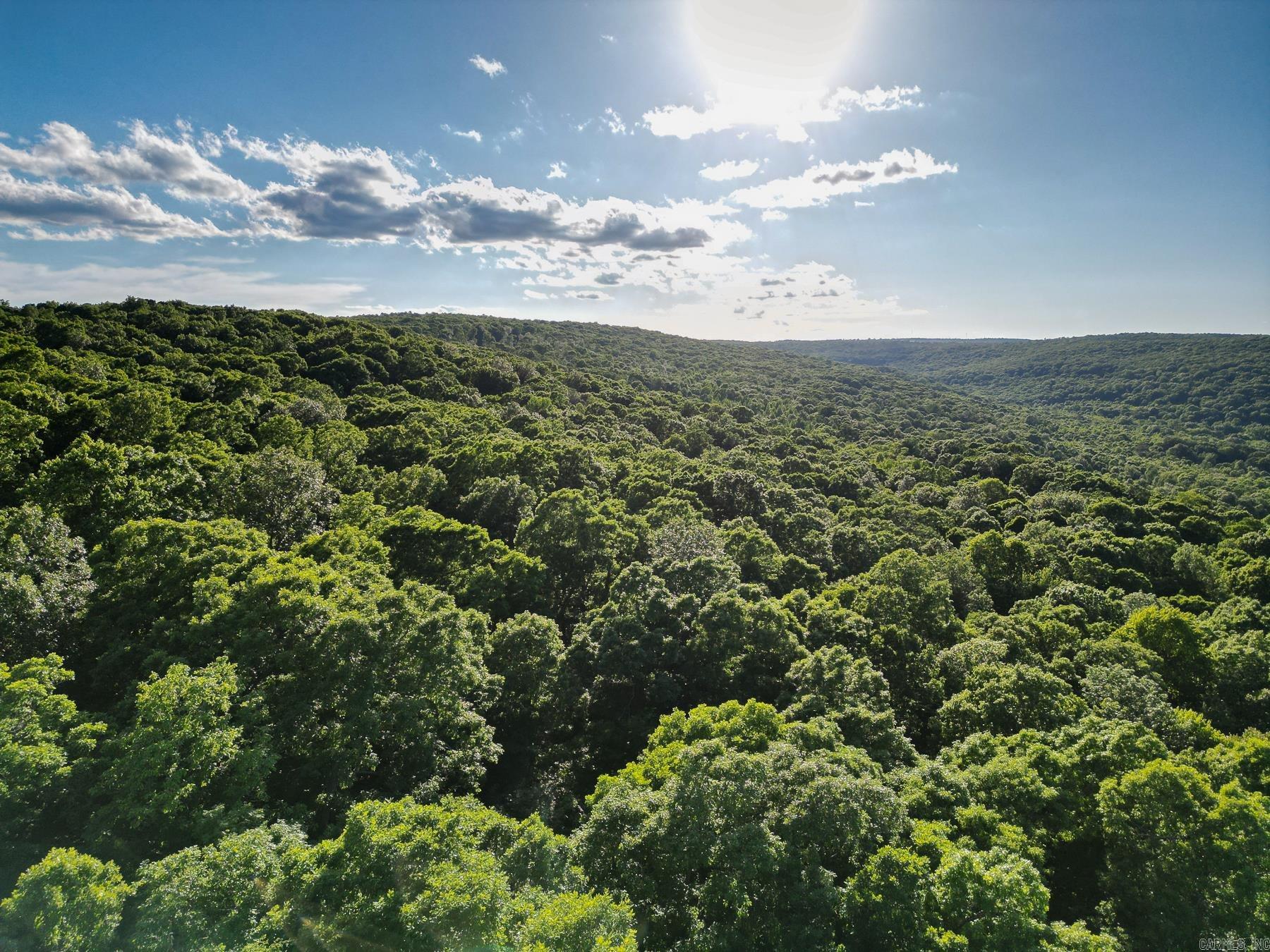 Photo 6 - Vacant Land for sale – 0000  Whiskey Creek   Batesville, AR