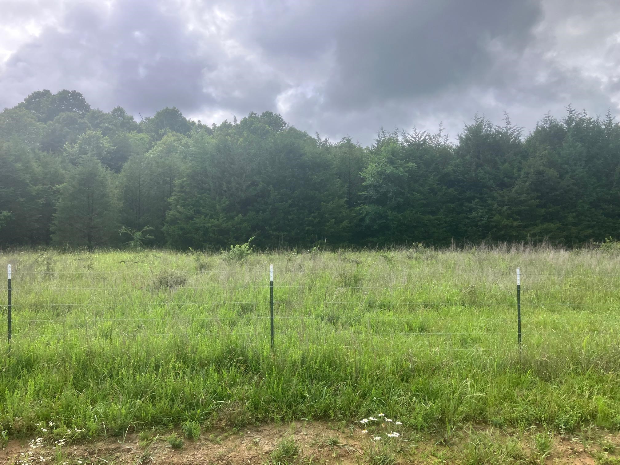 Vacant Land for sale – 8521  Byron Road   Salem, AR