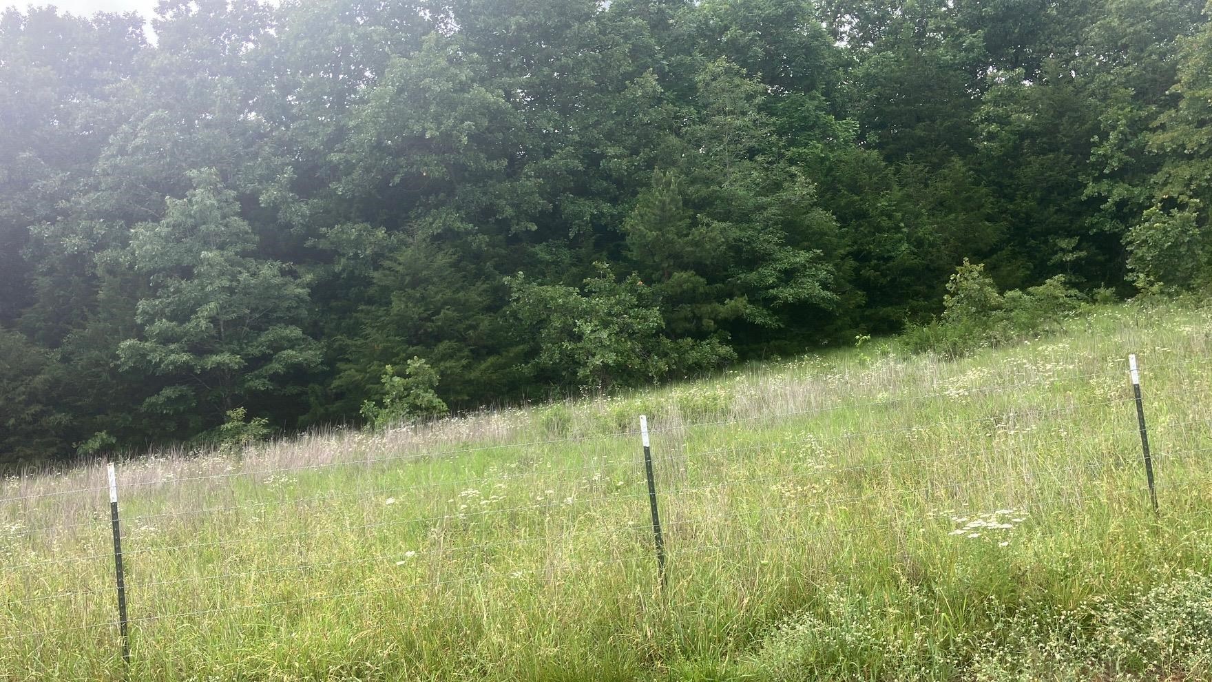 Photo 11 - Vacant Land for sale – 8521  Byron Road   Salem, AR