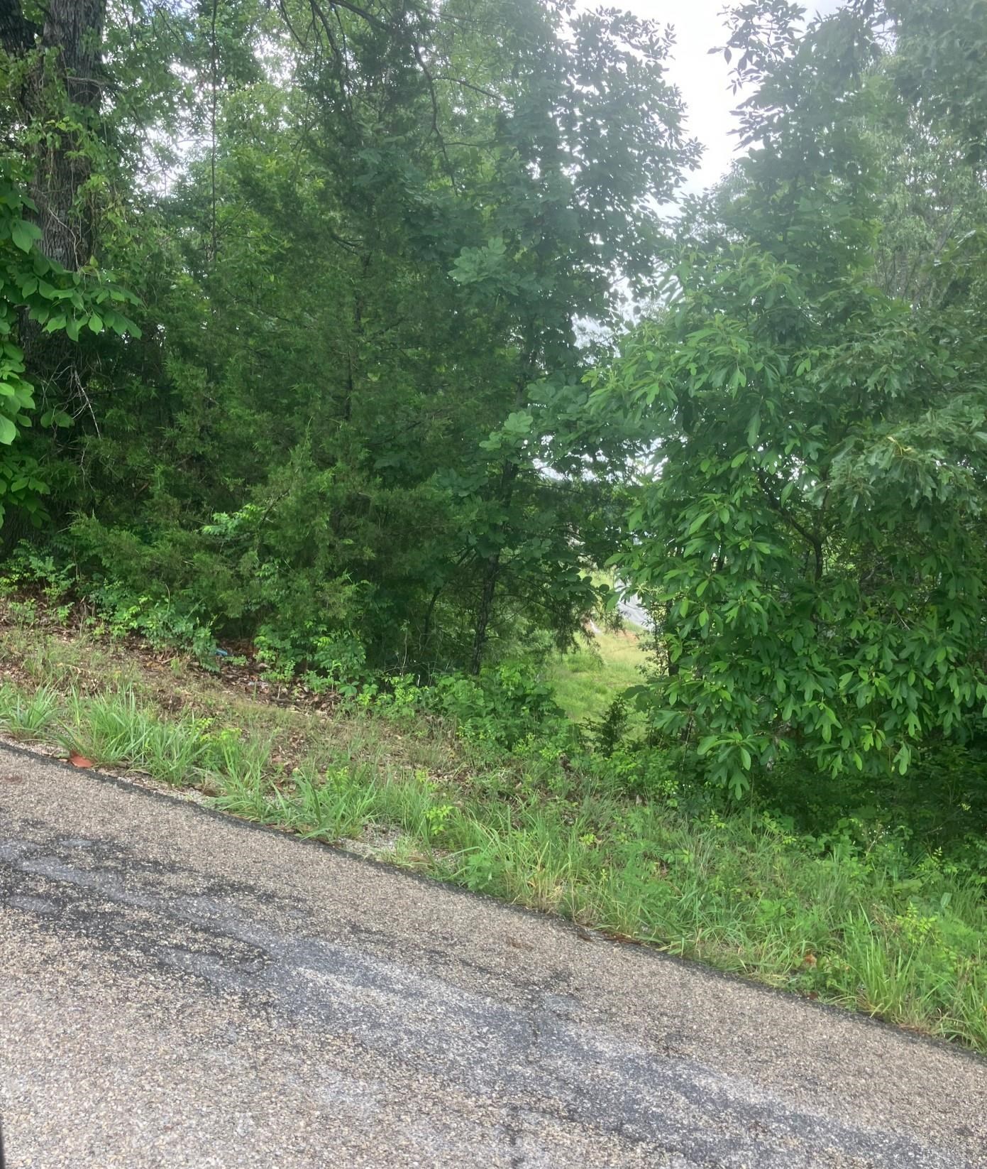 Photo 12 - Vacant Land for sale – 8521  Byron Road   Salem, AR