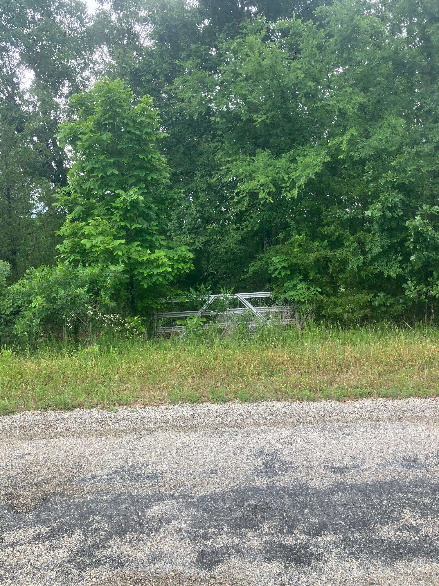 Photo 3 - Vacant Land for sale – 8521  Byron Road   Salem, AR