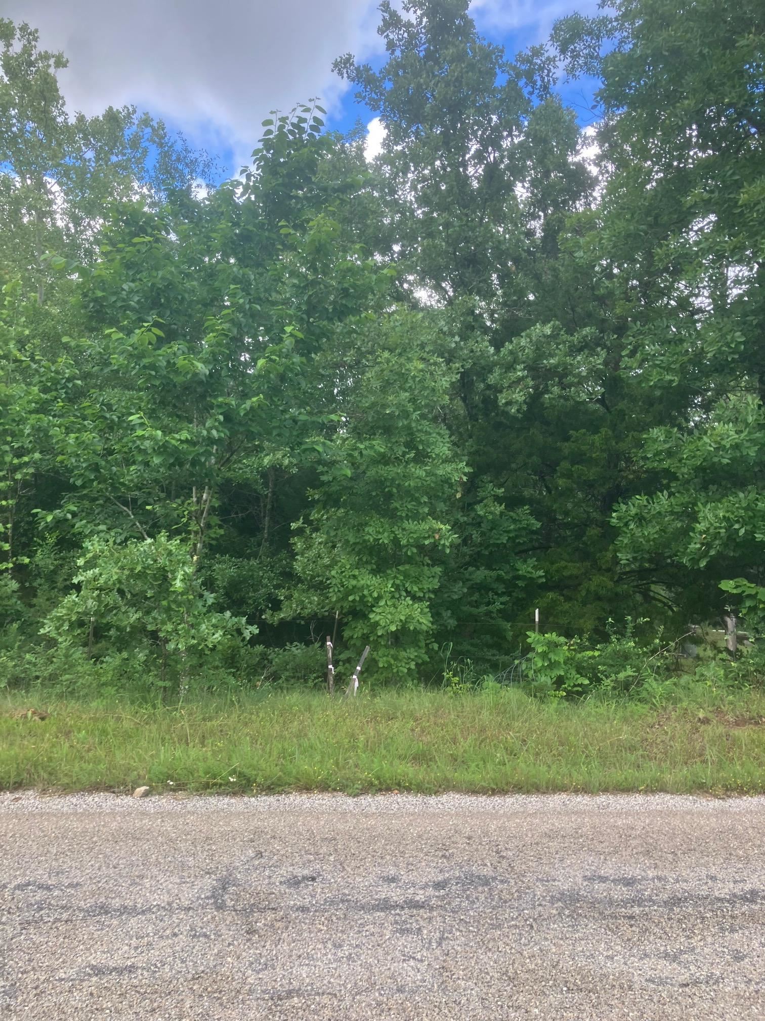 Photo 4 - Vacant Land for sale – 8521  Byron Road   Salem, AR