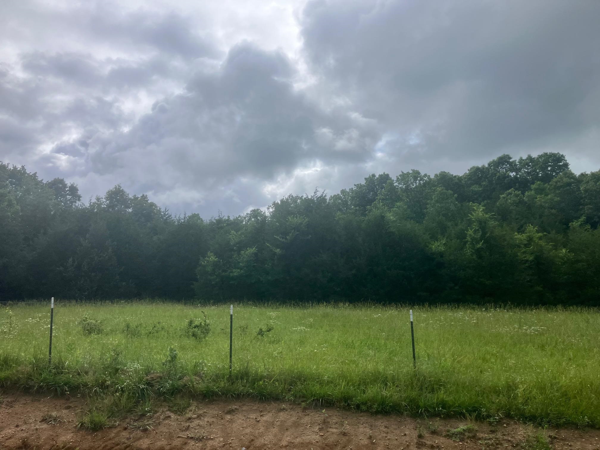 Photo 5 - Vacant Land for sale – 8521  Byron Road   Salem, AR