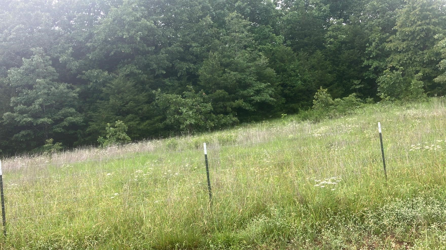 Photo 6 - Vacant Land for sale – 8521  Byron Road   Salem, AR
