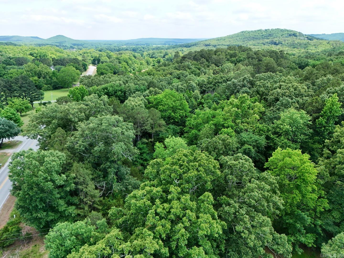 Photo 4 - Vacant Land for sale – Tract 5  Gap Road   Batesville, AR