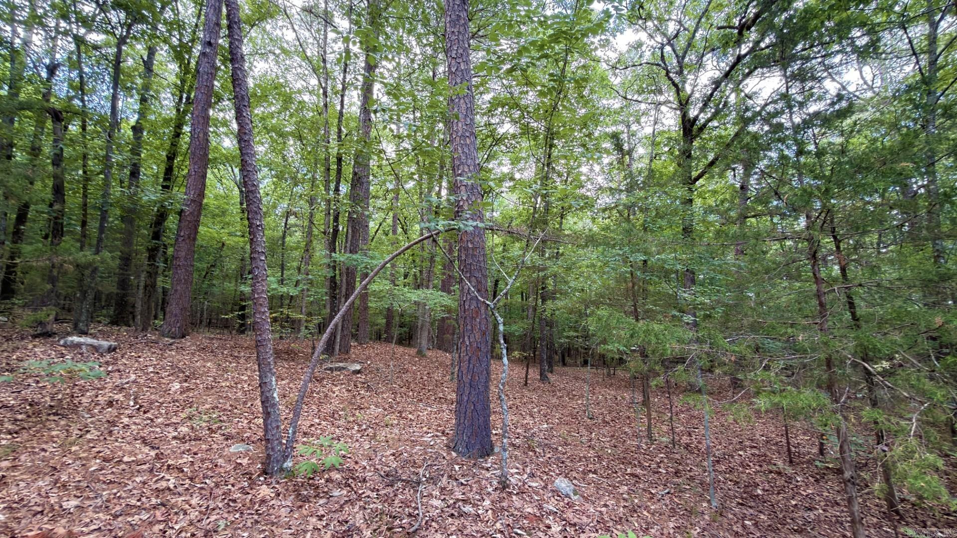 Photo 5 - Vacant Land for sale – Tract 5  Gap Road   Batesville, AR
