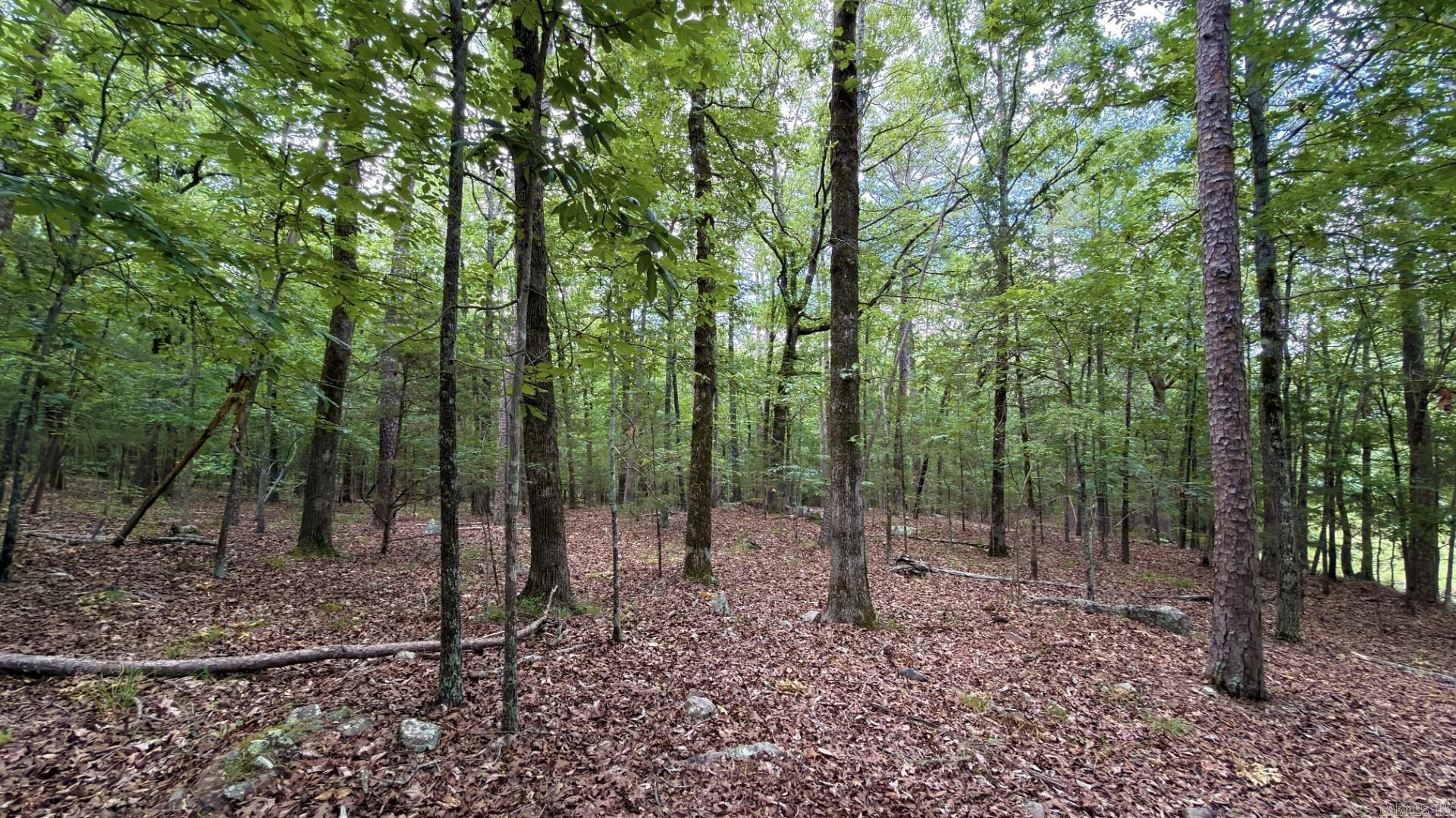 Photo 6 - Vacant Land for sale – Tract 5  Gap Road   Batesville, AR