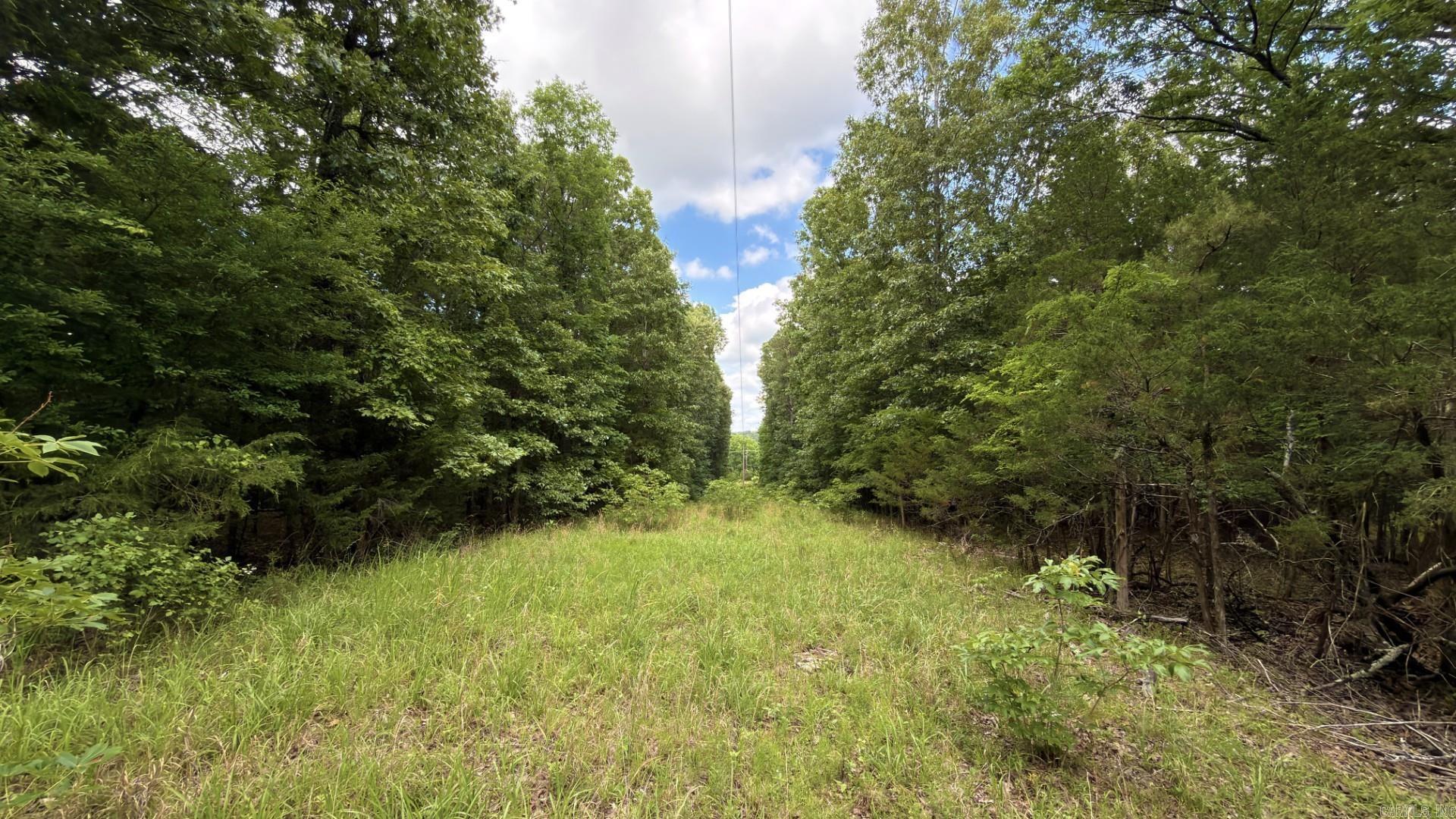 Photo 7 - Vacant Land for sale – Tract 5  Gap Road   Batesville, AR
