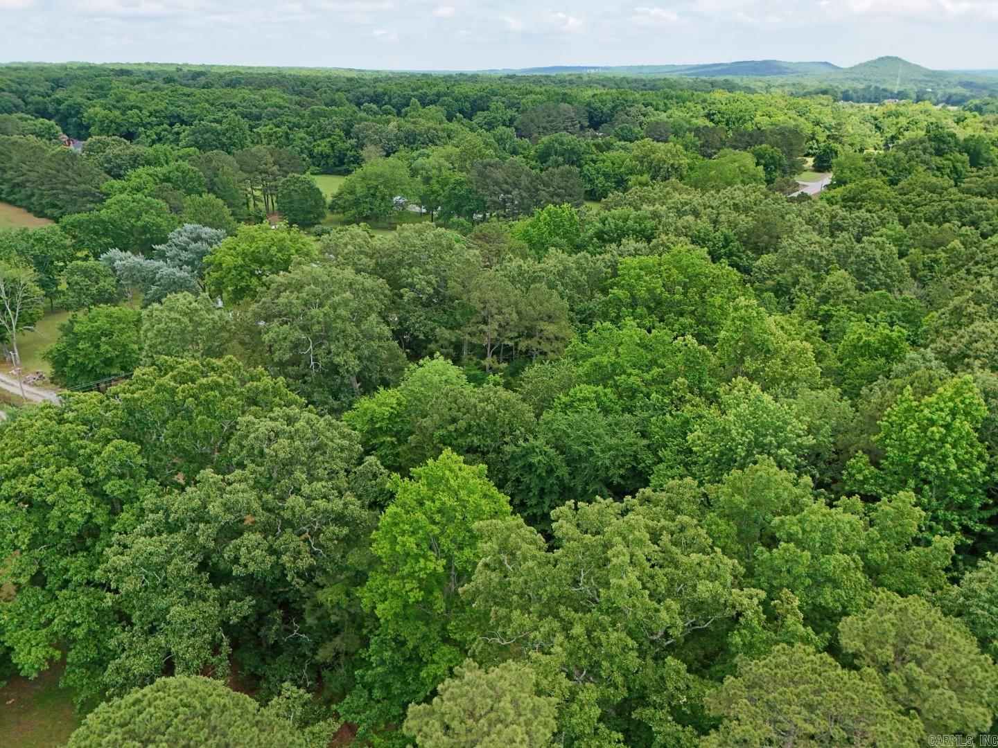 Photo 8 - Vacant Land for sale – Tract 5  Gap Road   Batesville, AR
