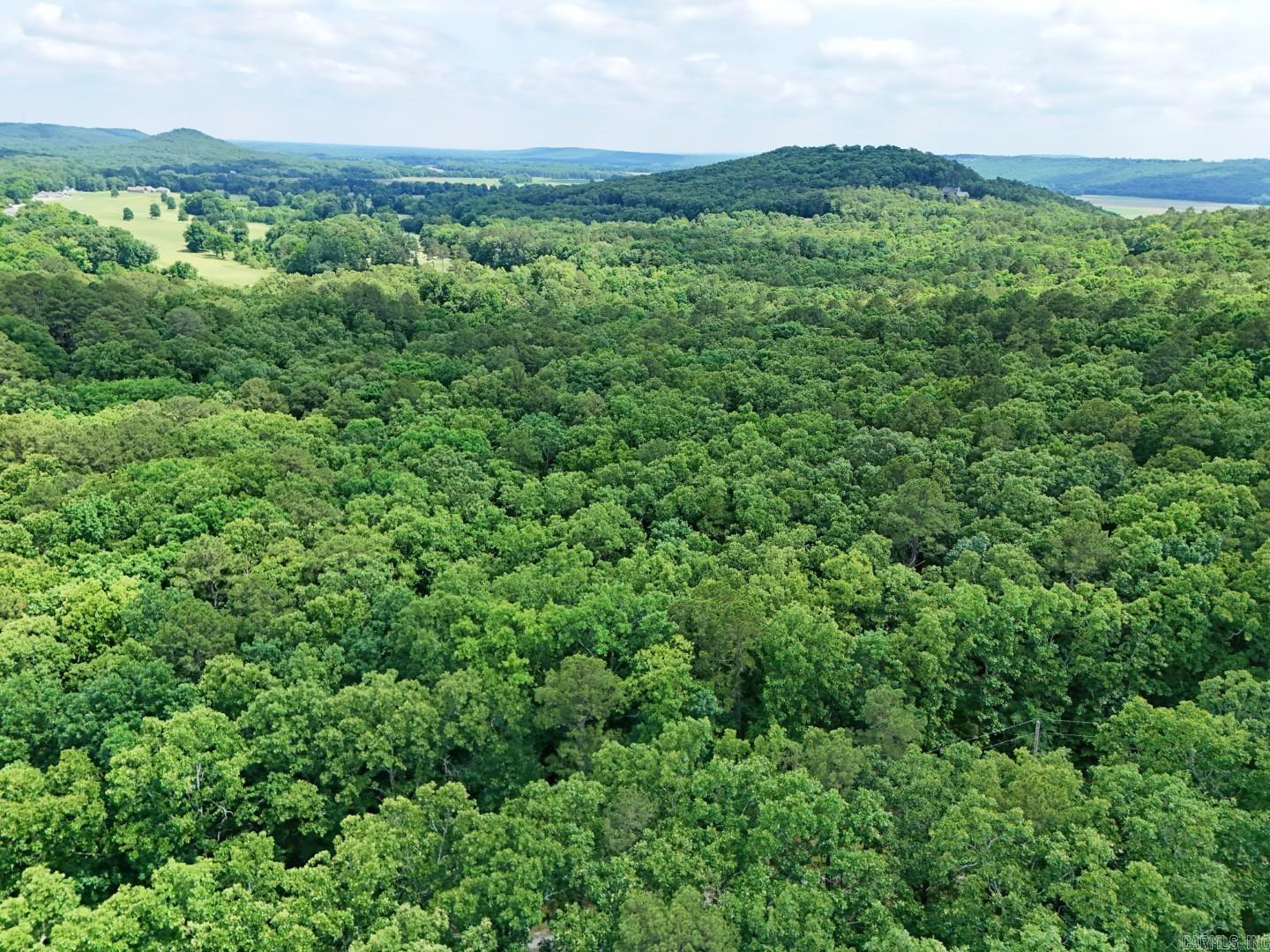 Vacant Land for sale – Tract 4  Gap Road   Batesville, AR
