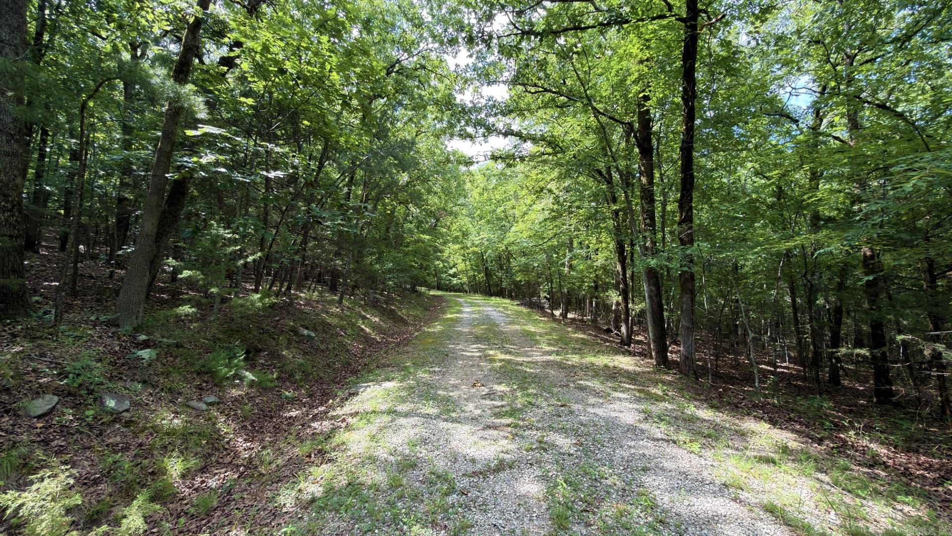 Photo 11 - Vacant Land for sale – Tract 4  Gap Road   Batesville, AR