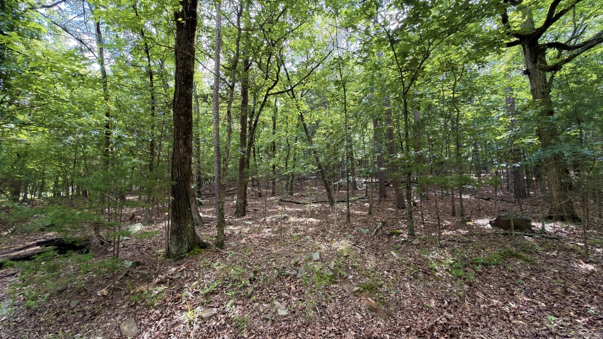 Photo 12 - Vacant Land for sale – Tract 4  Gap Road   Batesville, AR