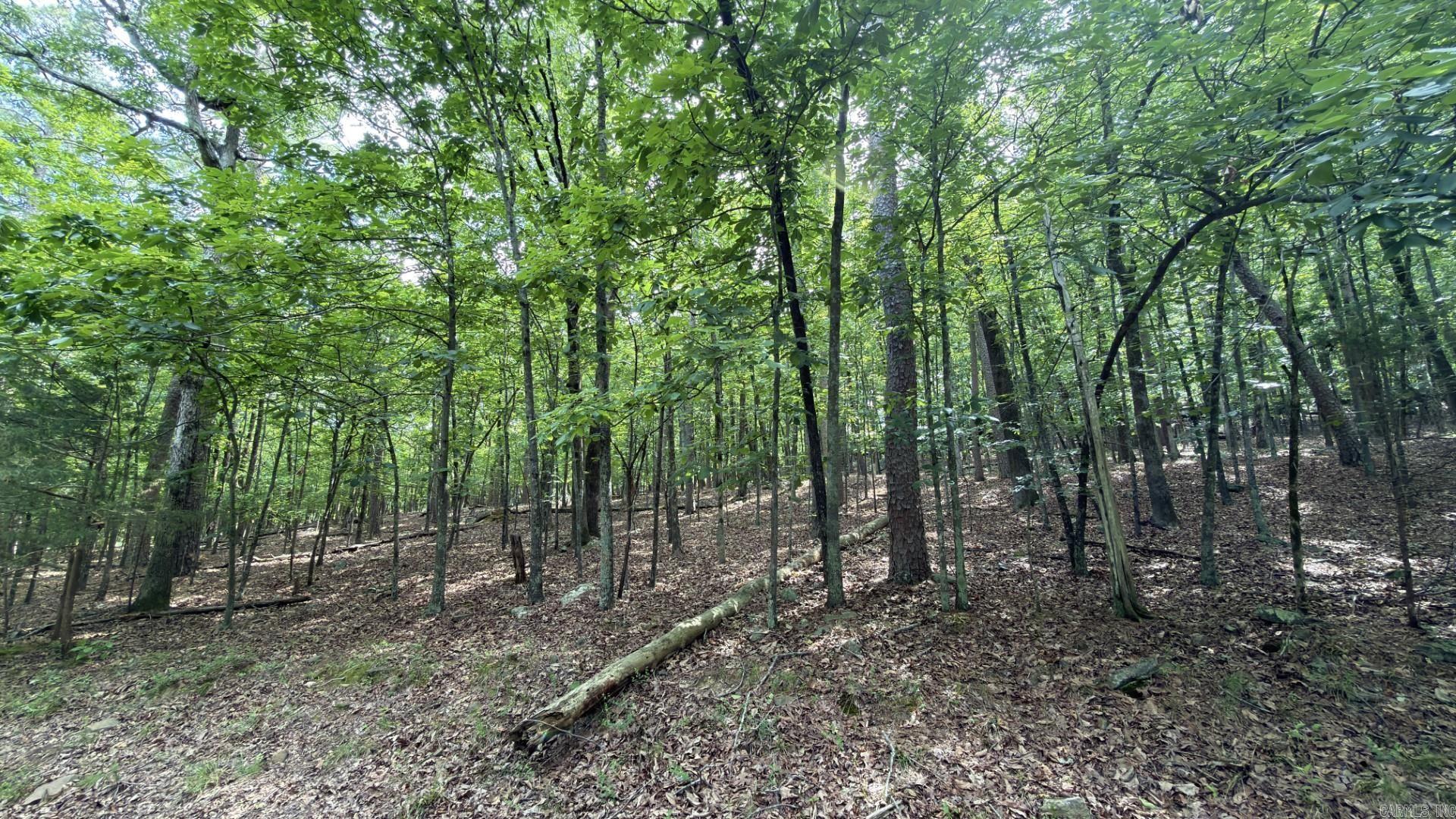 Photo 13 - Vacant Land for sale – Tract 4  Gap Road   Batesville, AR