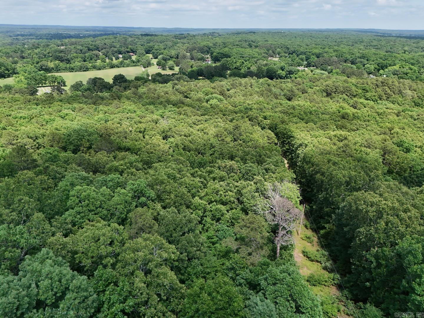 Photo 14 - Vacant Land for sale – Tract 4  Gap Road   Batesville, AR