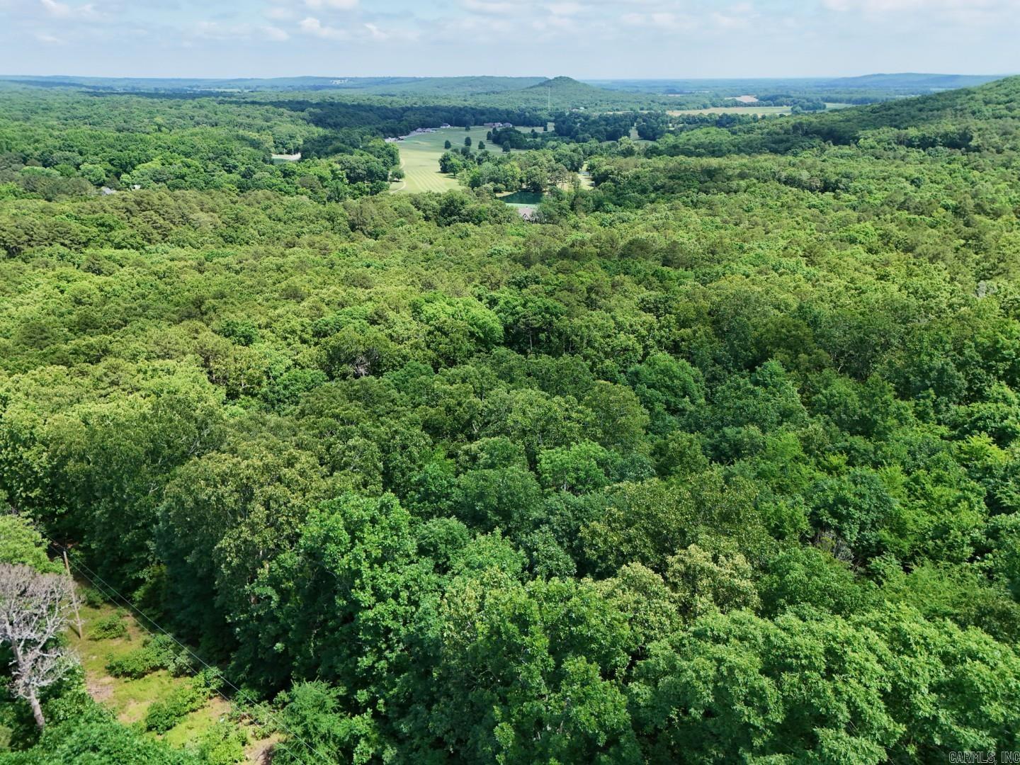 Photo 3 - Vacant Land for sale – Tract 4  Gap Road   Batesville, AR