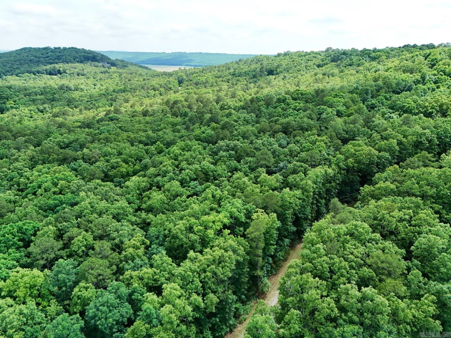 Photo 4 - Vacant Land for sale – Tract 4  Gap Road   Batesville, AR
